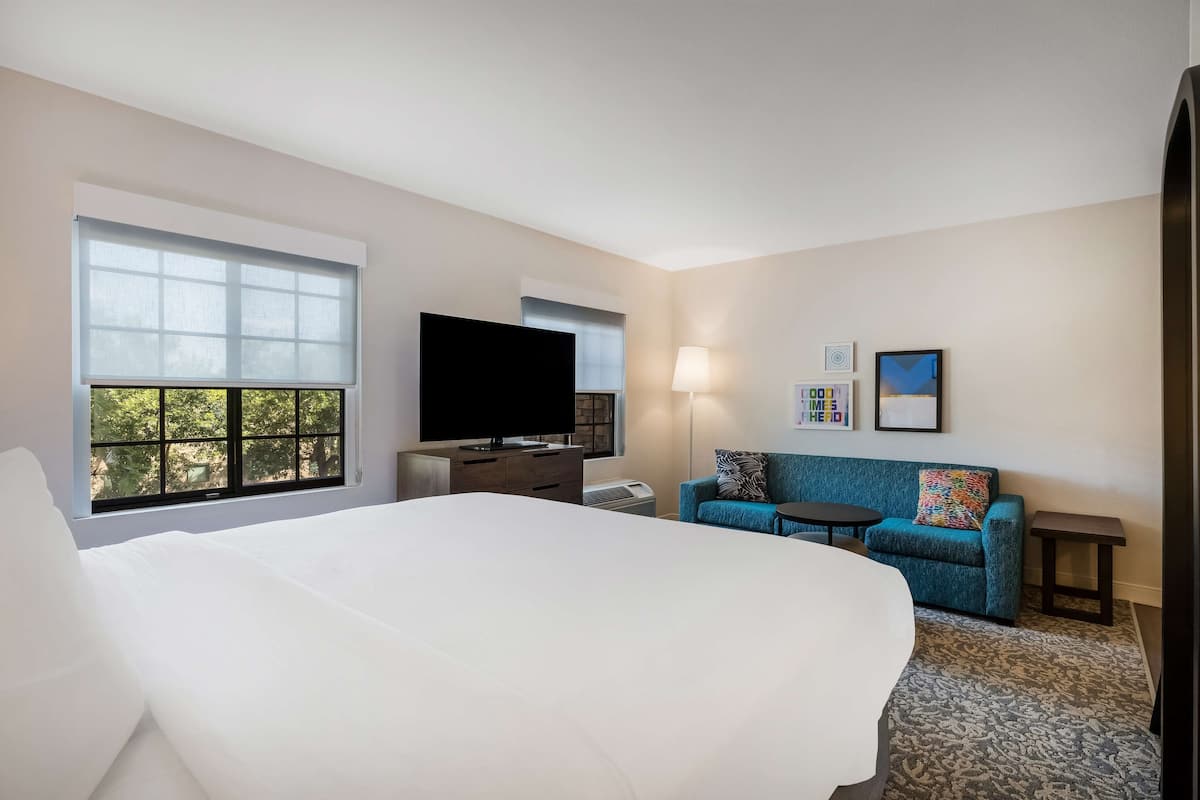 Habitación de hotel con una cama grande, televisión, sofá y ventana con vistas a árboles.