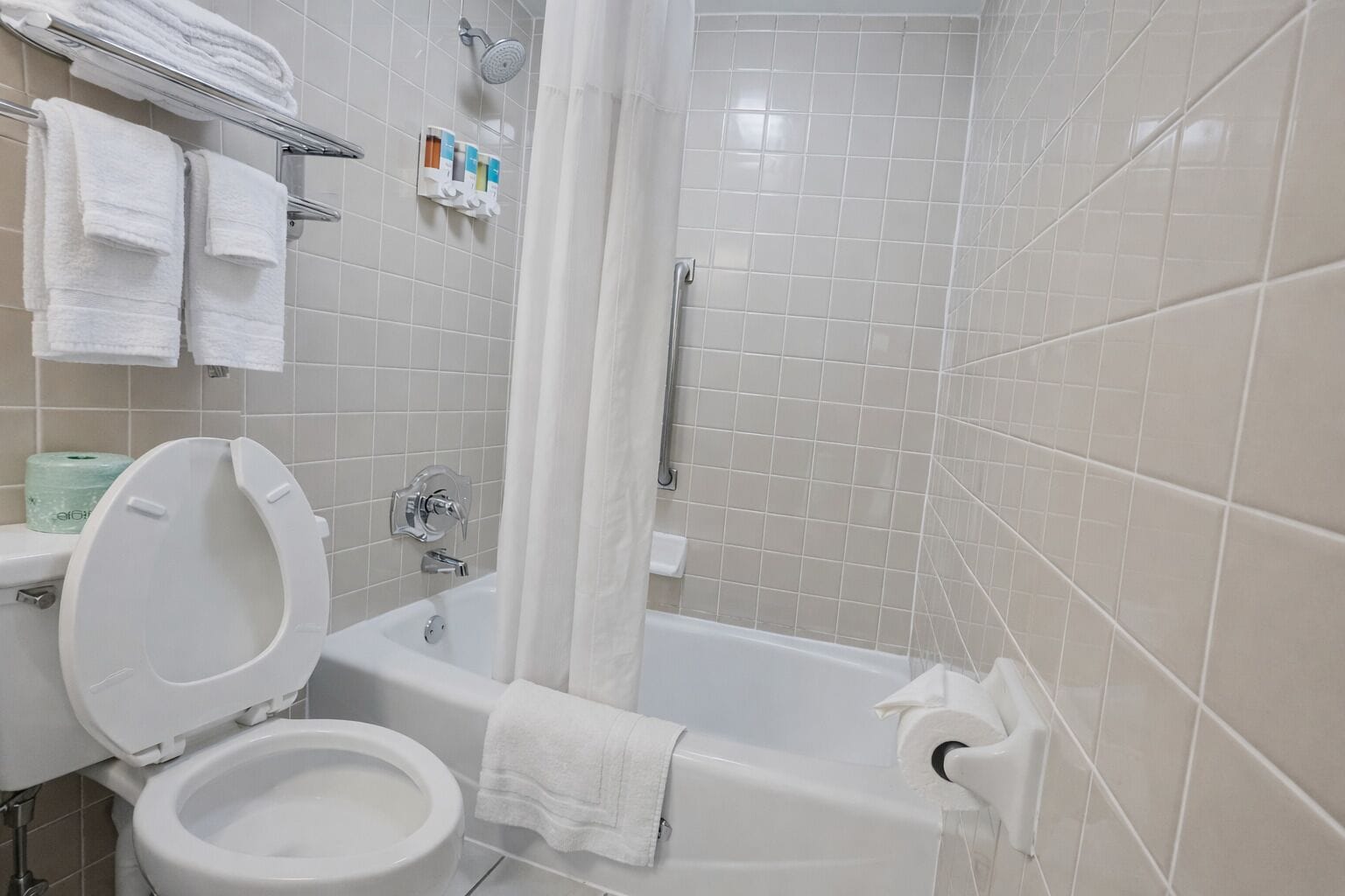 Une salle de bain avec des toilettes, une baignoire et une douche. Des serviettes et des articles de toilette sont accrochés au mur.