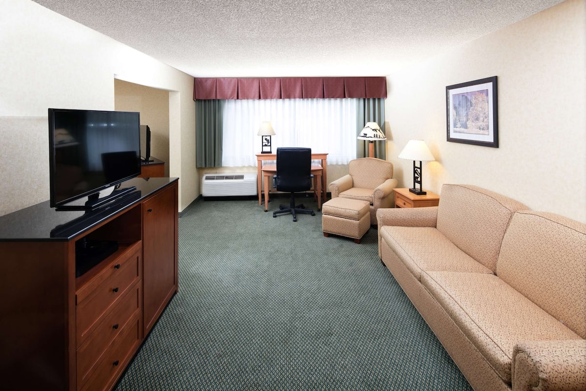 Executive Suite | Living area