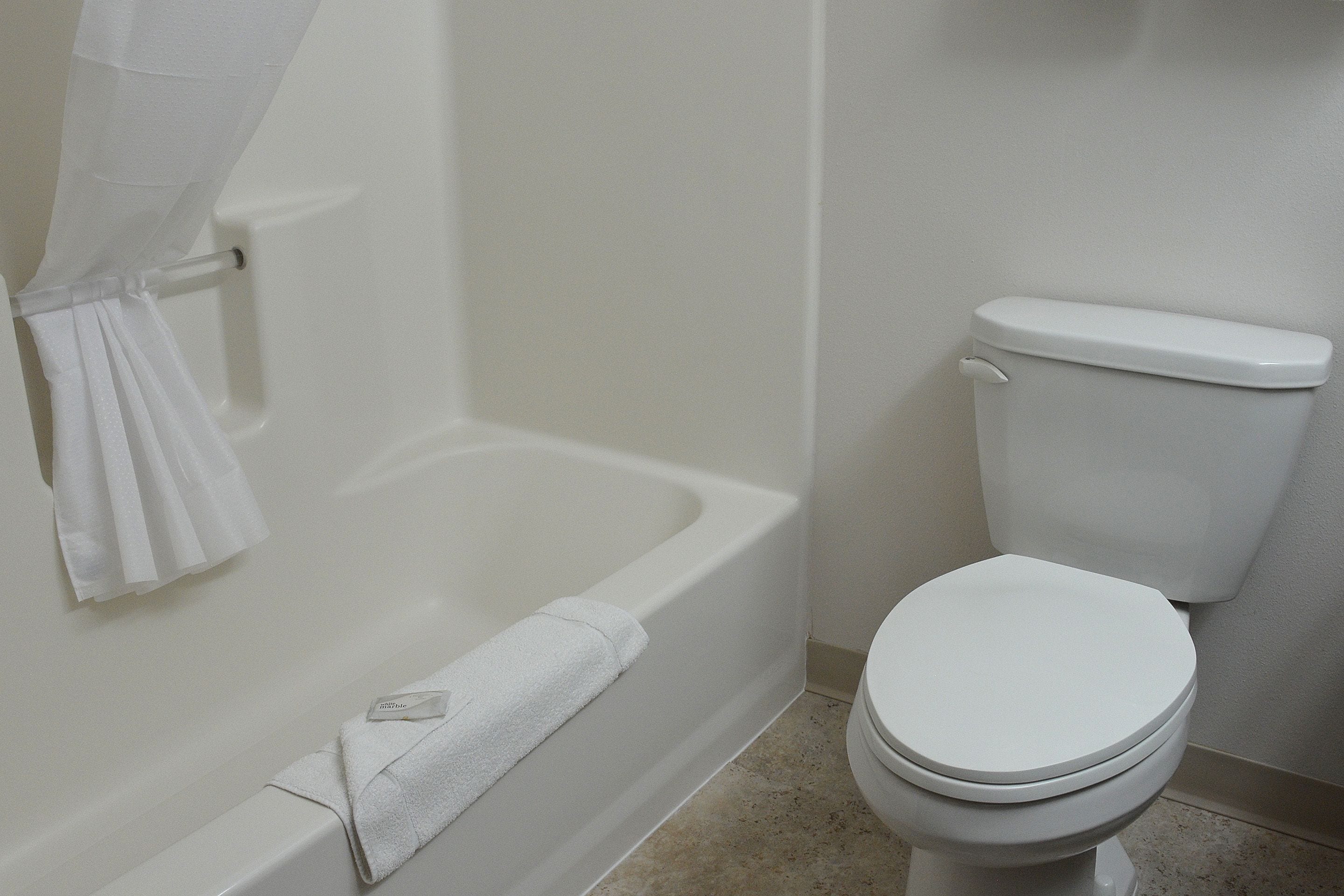 combined shower/bathtub, free toiletries, hair dryer, towels