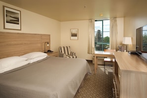 Business Room, 1 King Bed