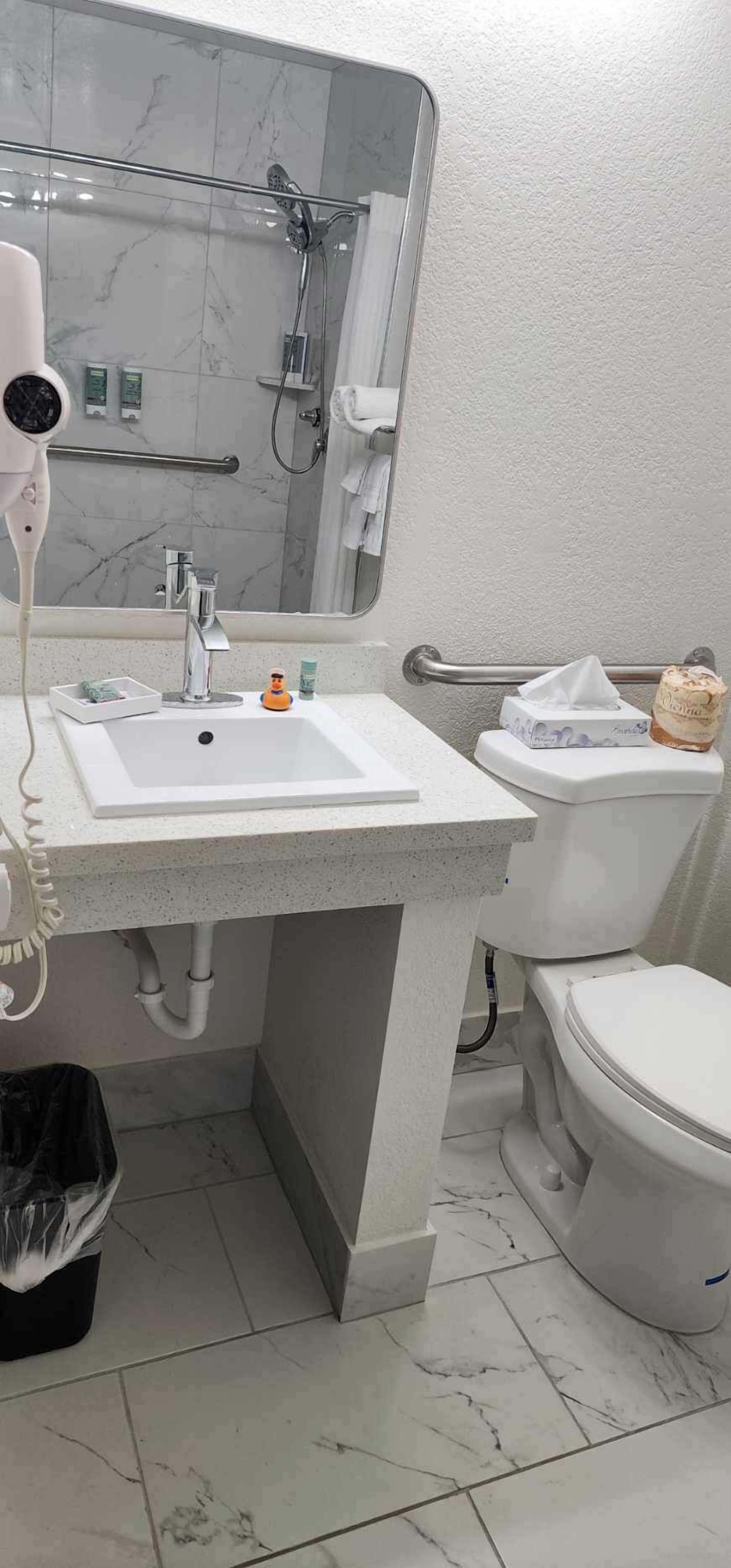 Standard Room, 1 Queen Bed, Accessible, Refrigerator & Microwave | Bathroom | Designer toiletries, hair dryer, towels, soap