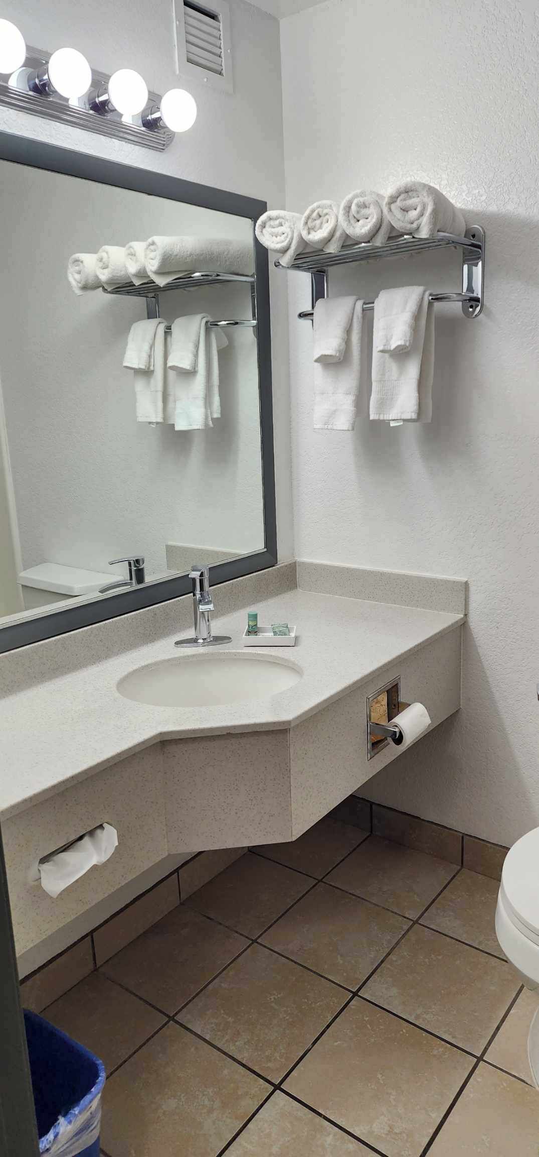 A bathroom with a sink, mirror, towel rack, and toilet.