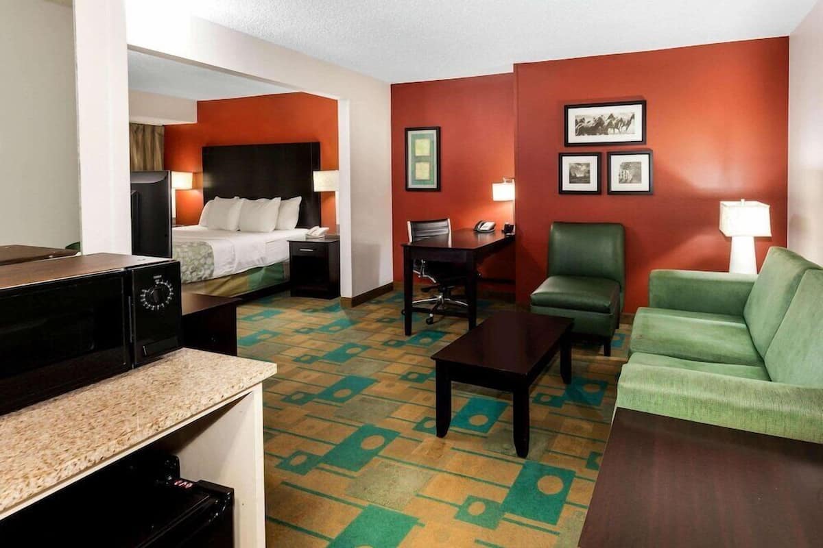 Una habitación de hotel con cama, escritorio, sofá verde y microondas.