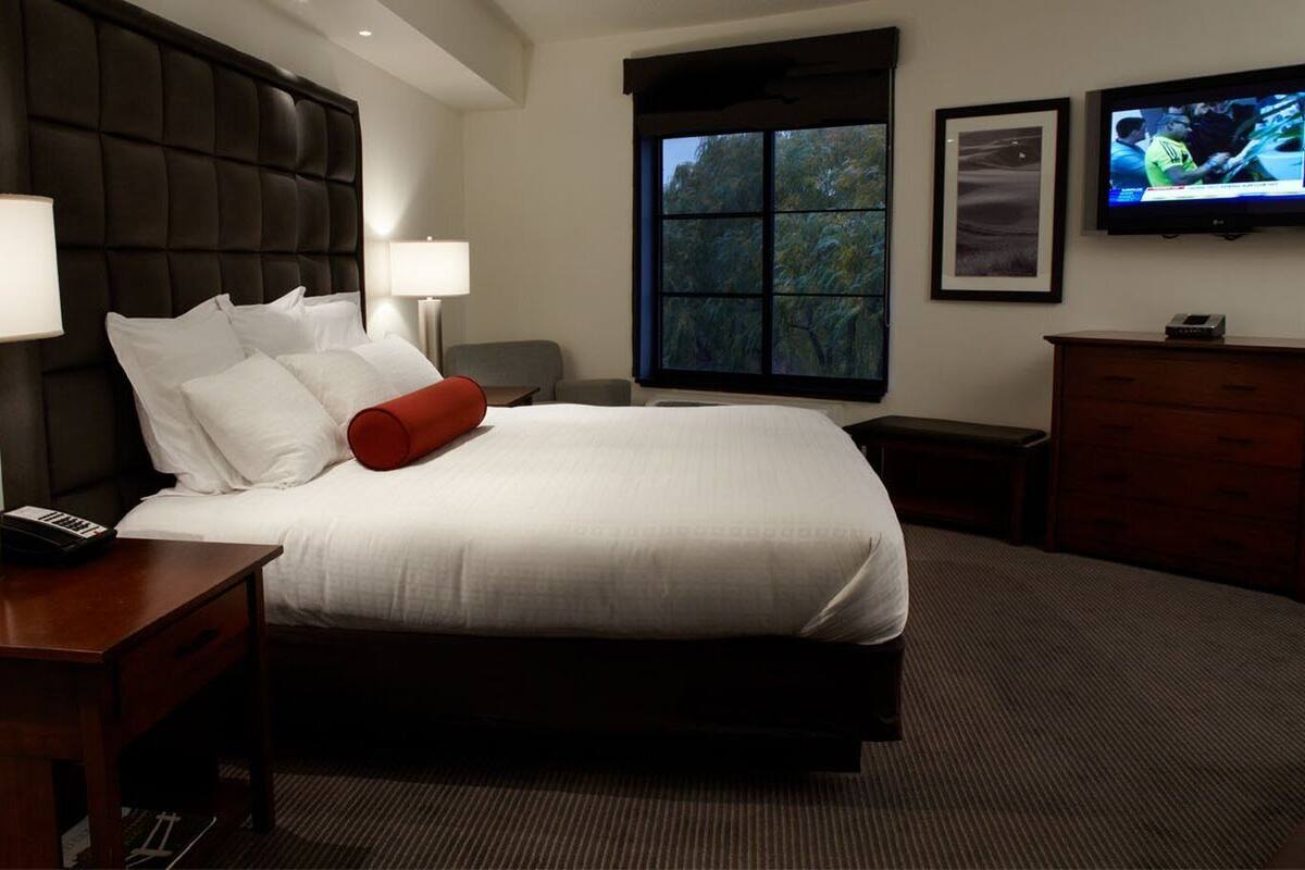Habitación de hotel con una cama grande, dos mesitas de noche, un televisor y una ventana con vistas a árboles.