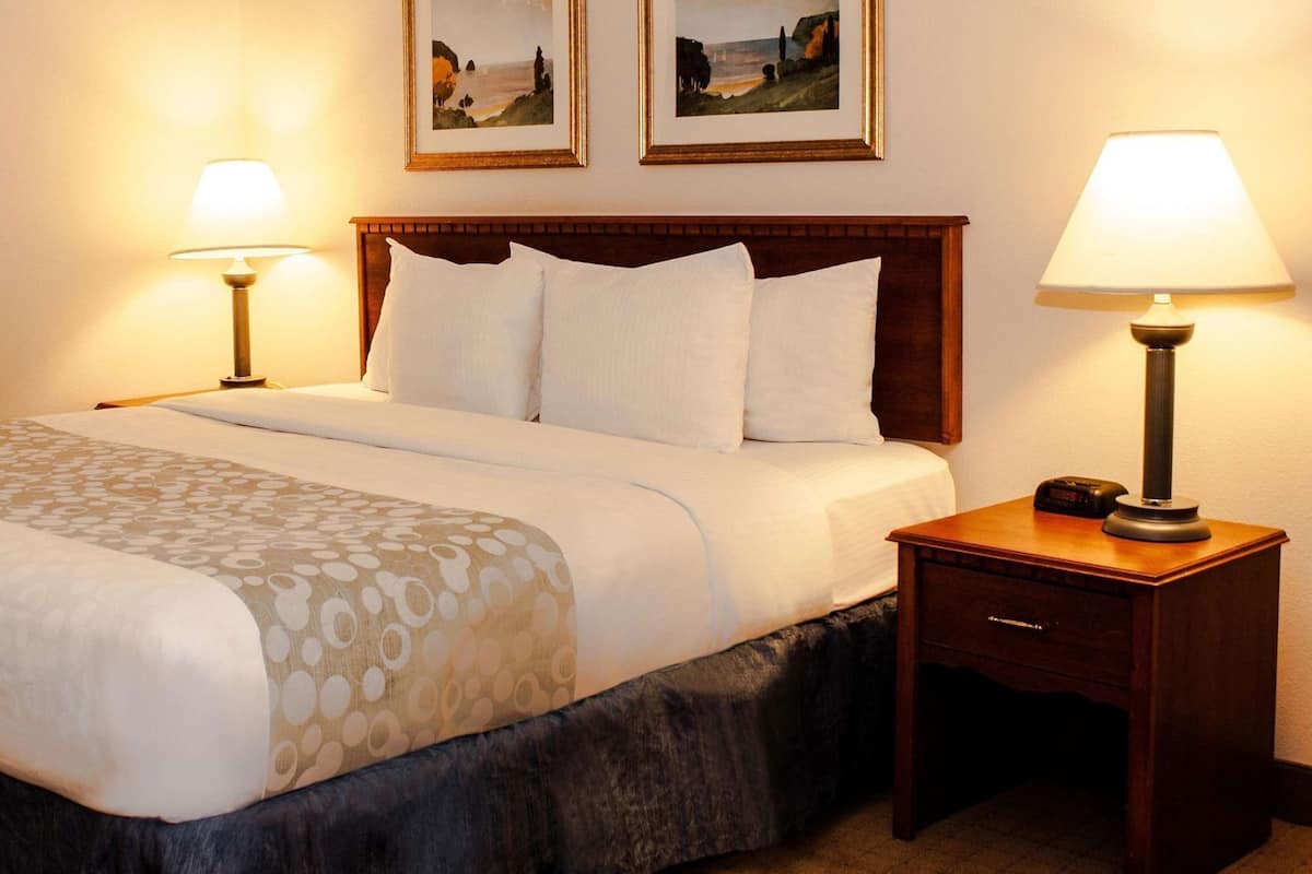 고급 침구, 책상, 노트북 작업 공간, 암막 커튼