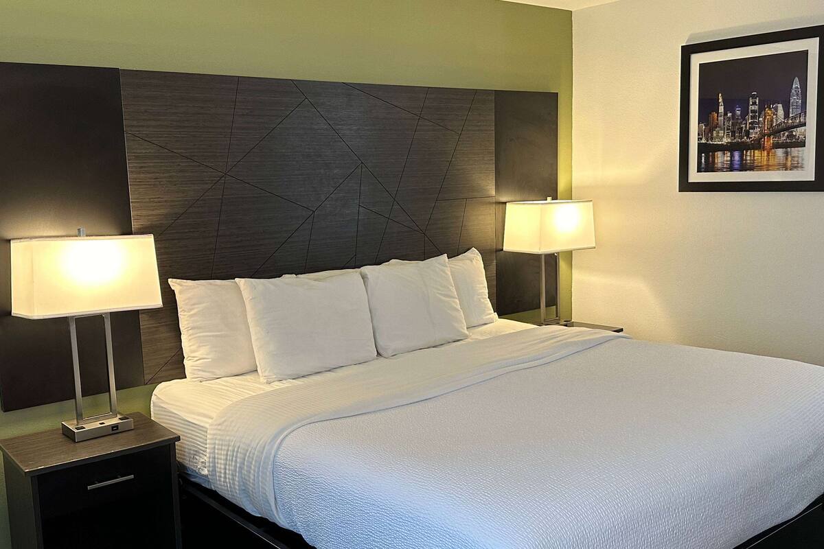 Room, 1 King Bed, Mobility Accessible, Non Smoking (Walk-in Shower) | Premium bedding, desk, laptop workspace, blackout drapes