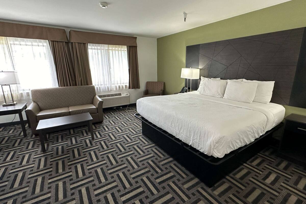 Executive Room, 1 King Bed, Non Smoking | Premium bedding, desk, laptop workspace, blackout drapes