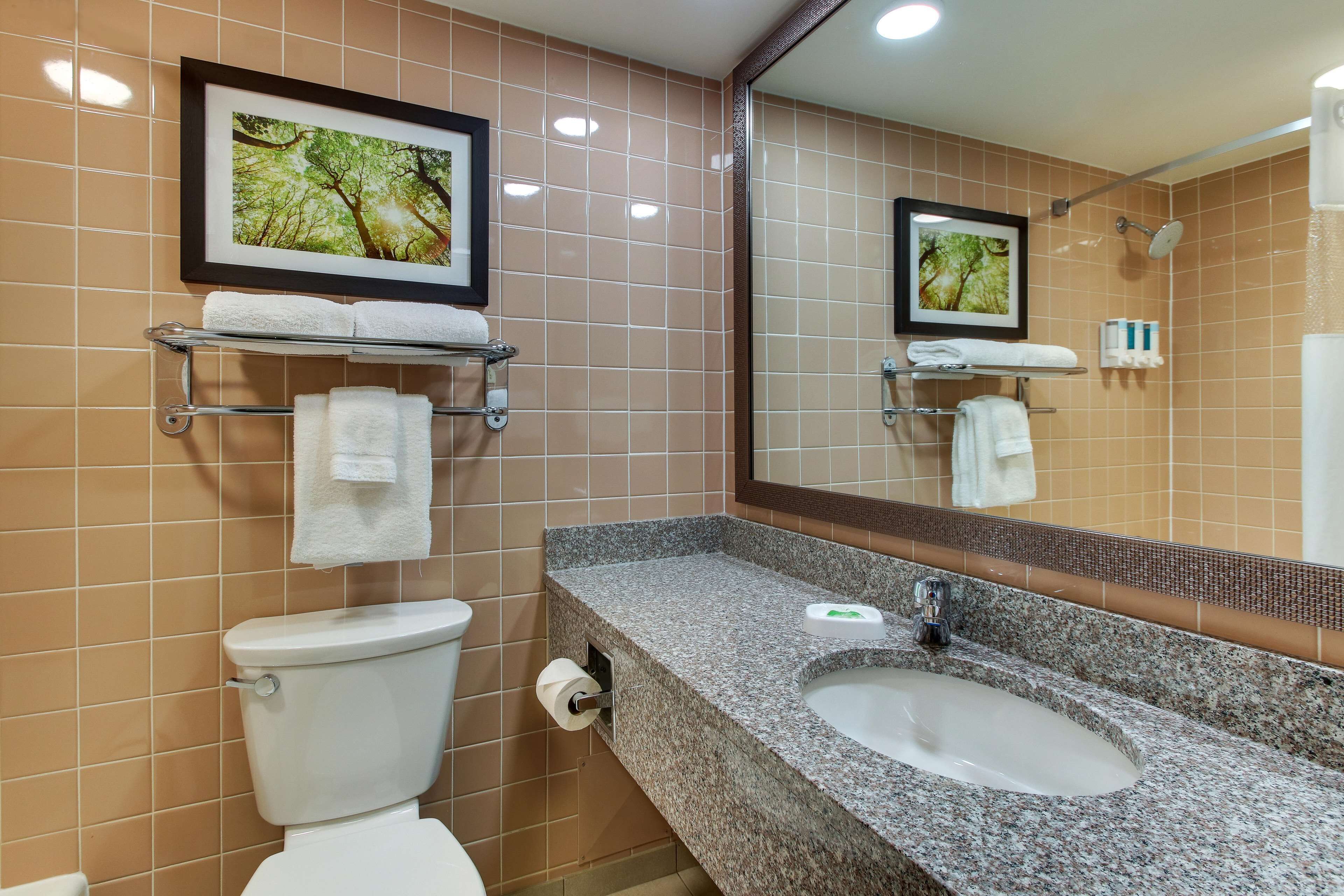 combined shower/bathtub, free toiletries, hair dryer, towels