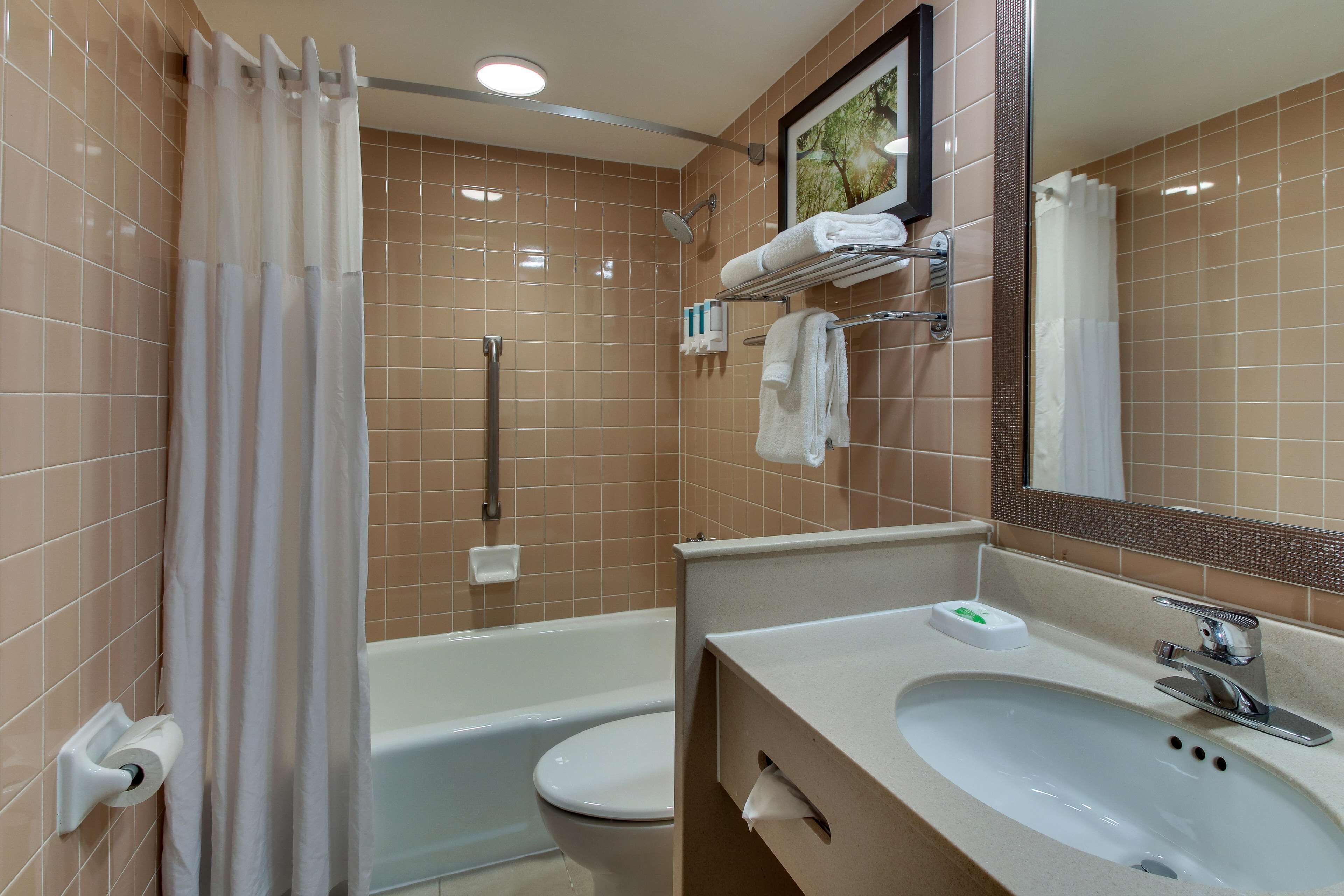 combined shower/bathtub, free toiletries, hair dryer, towels