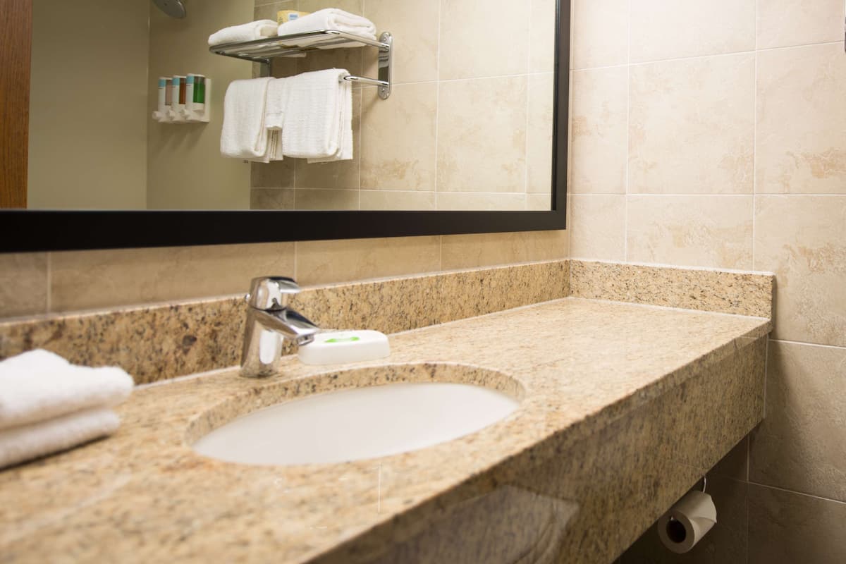 combined shower/bathtub, free toiletries, hair dryer, towels