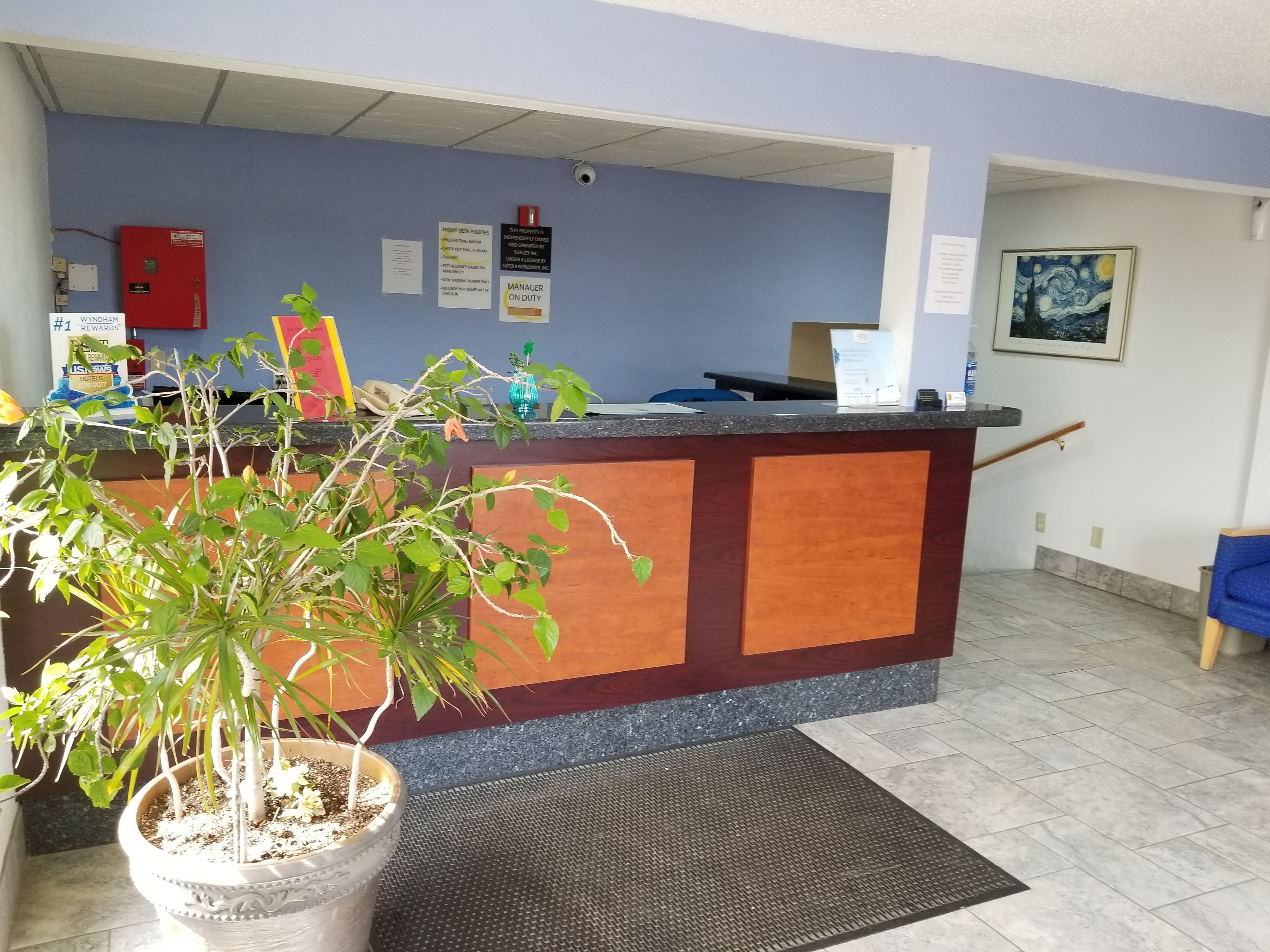 Een receptie met een houten balie, een kamerplant en een kunstwerk in een lijst aan de muur.