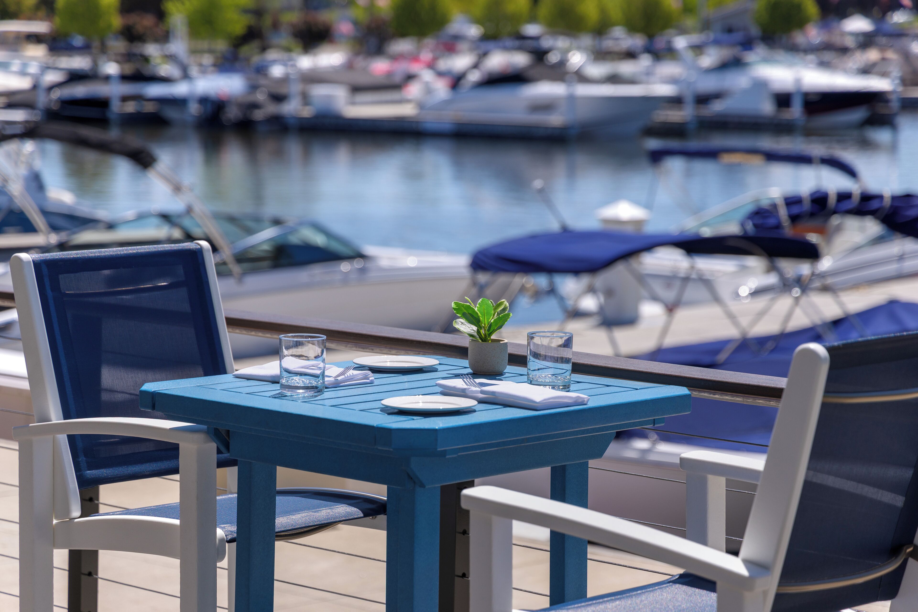 A table set with plates, glasses, and a small plant, overlooking a marina with boats.