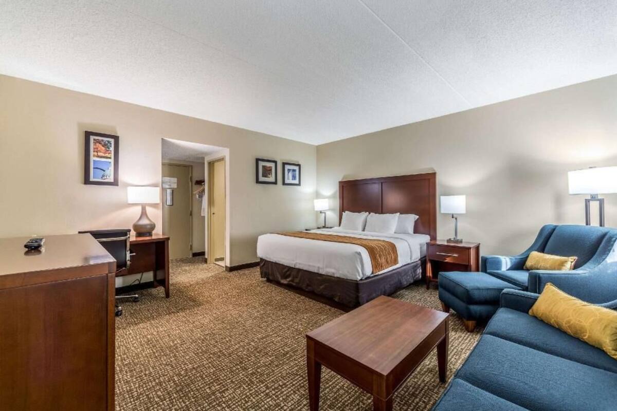 A hotel room with a bed, a desk, a chair, a sofa, and a carpeted floor.