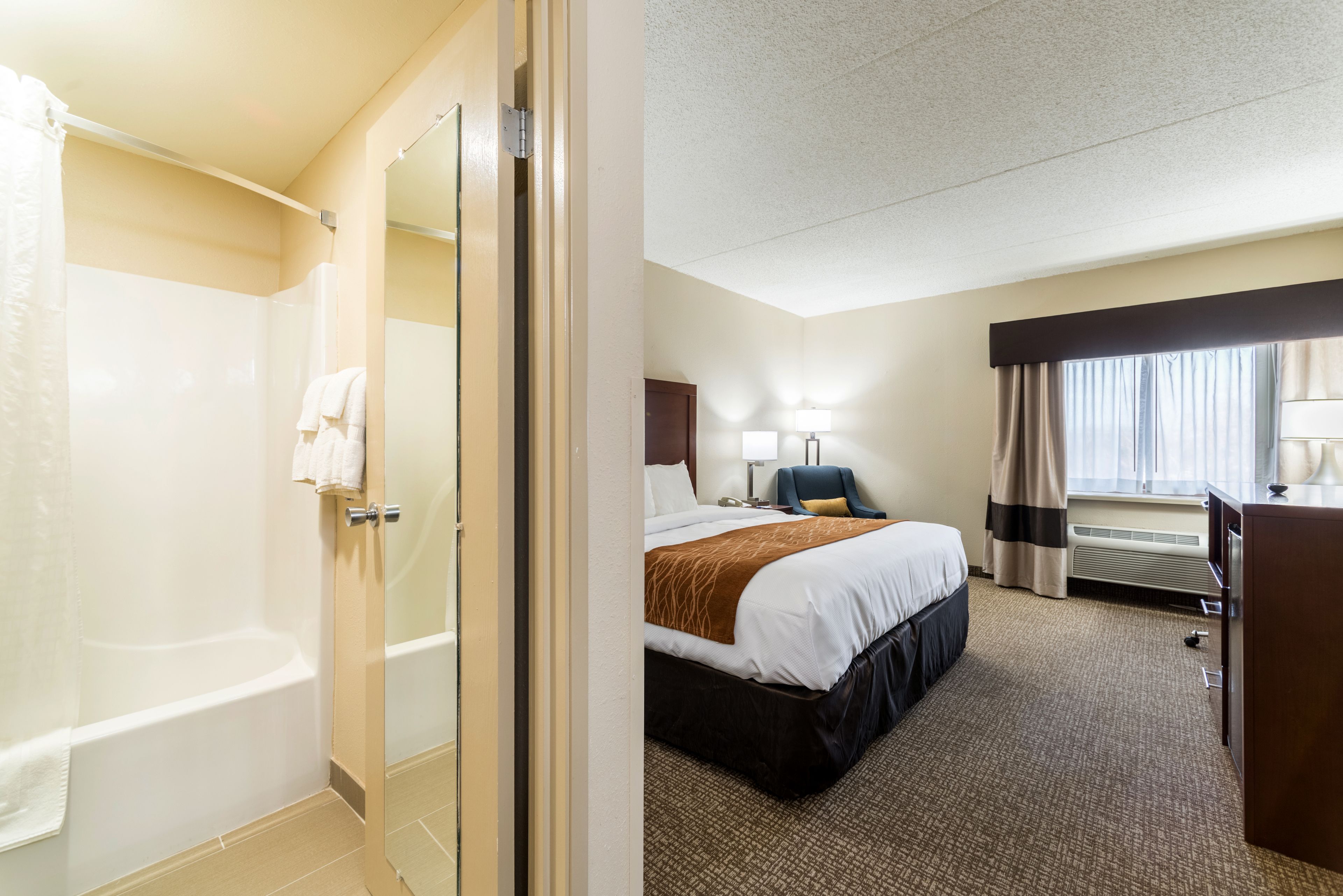 standard room, 1 king bed, non smoking | bathroom | combined shower/bathtub, free toiletries, hair dryer, towels