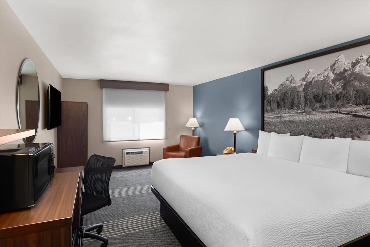 Free cots/infant beds, free WiFi, bed sheets