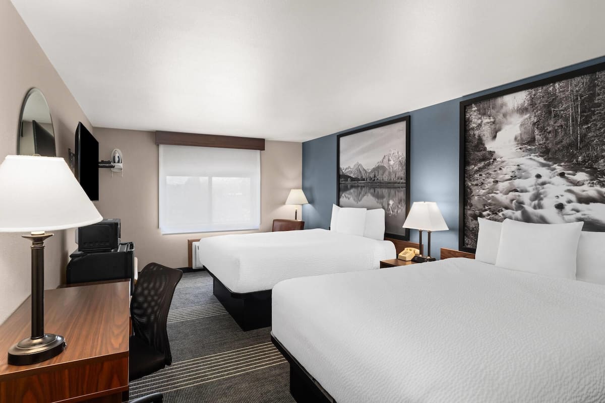 Free cots/infant beds, free WiFi, bed sheets