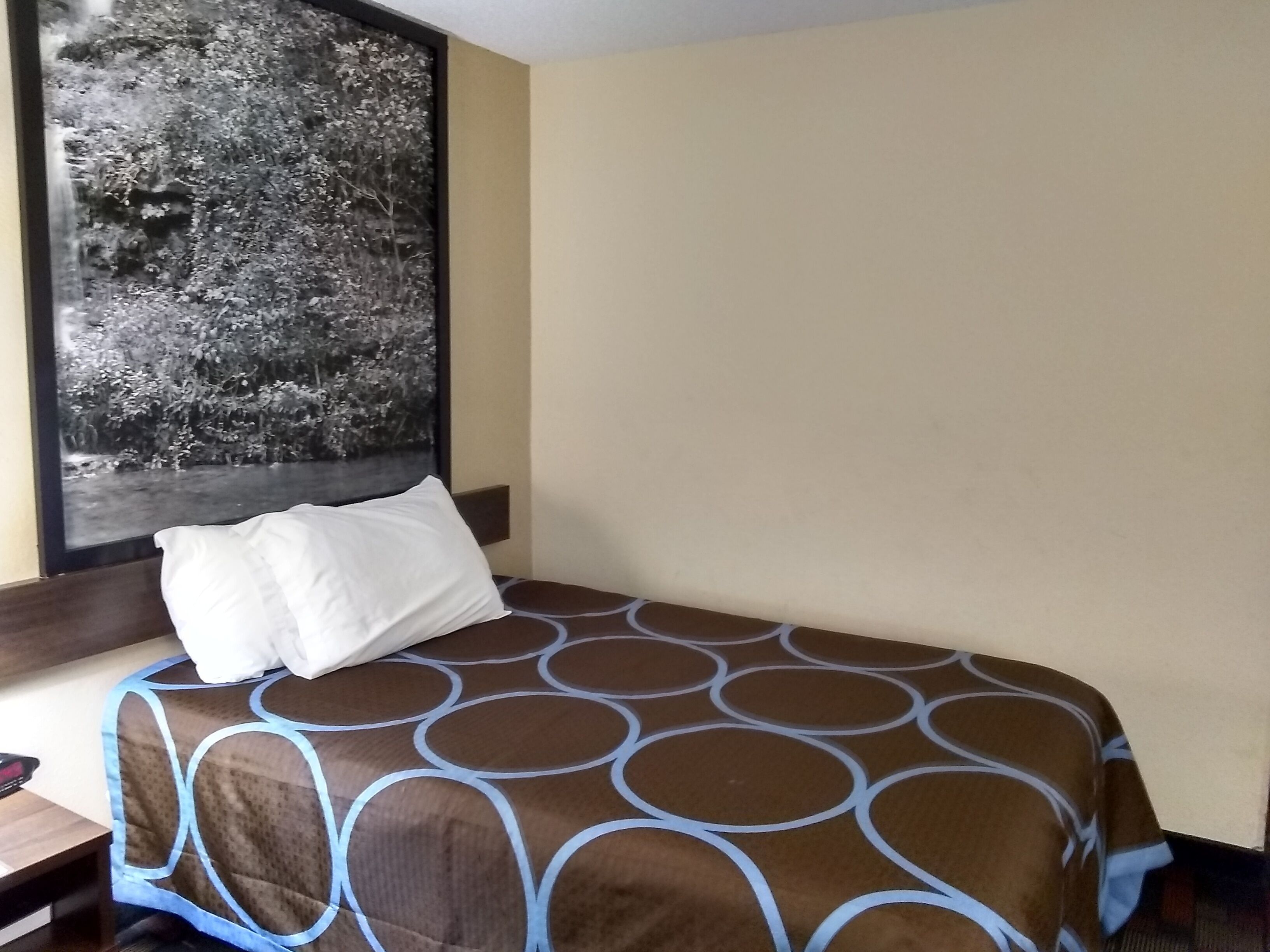 A hotel room with a bed, a large window with a nature view, and a small bedside table.