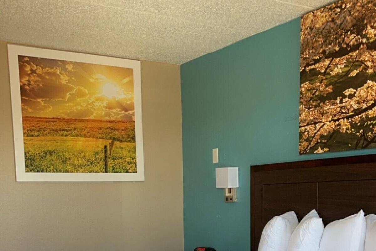 A hotel room with a large bed, a nightstand, a wall-mounted lamp, and two framed pictures.