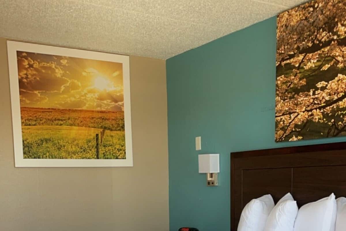 Ropa de cama de alta calidad, escritorio y cortinas blackout