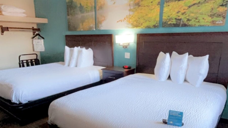 斯普林菲尔德 I-44 温德姆戴斯套房酒店