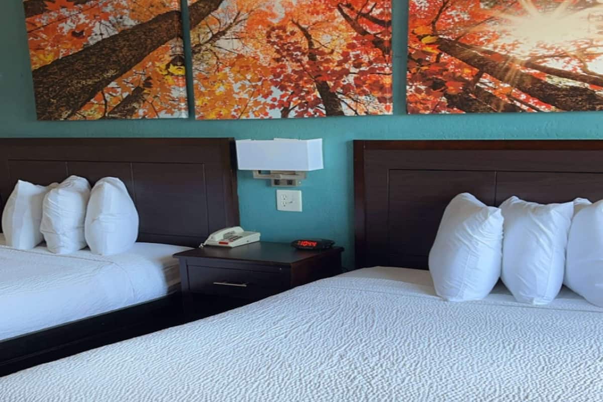 Ropa de cama de alta calidad, escritorio y cortinas blackout
