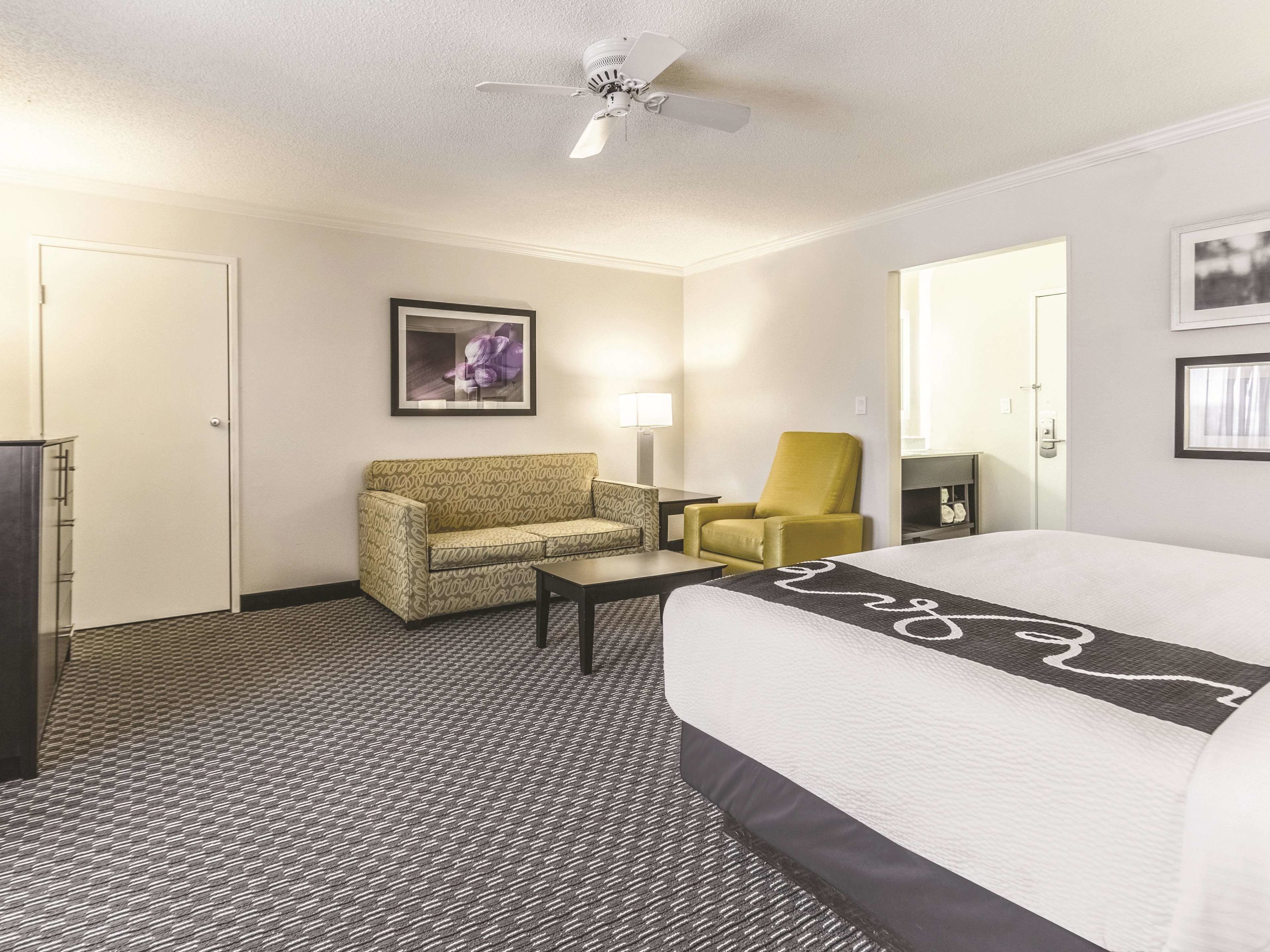 A hotel room with a bed, a sofa, a chair, a desk, and a ceiling fan.
