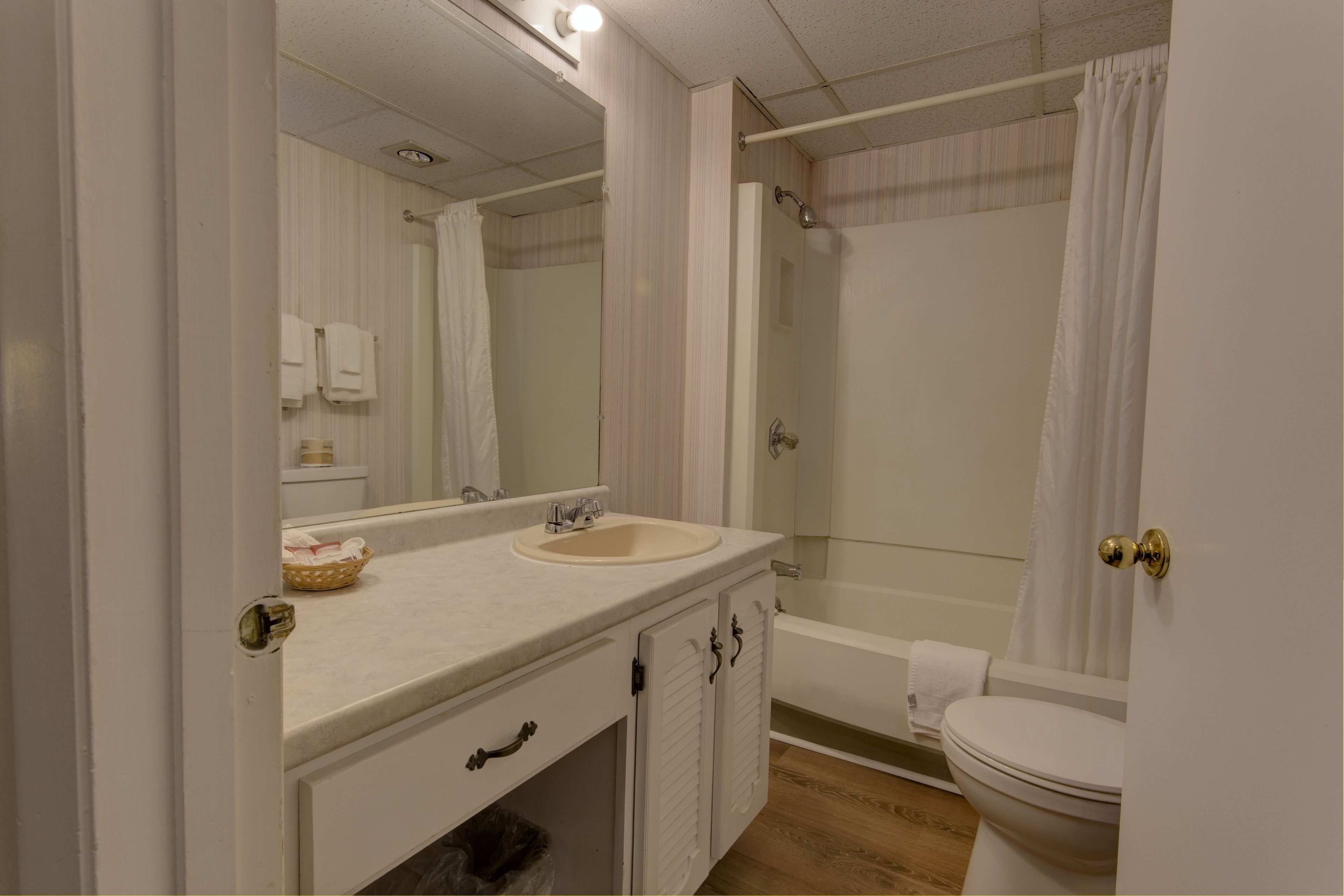 Combined shower/tub, hair dryer, towels