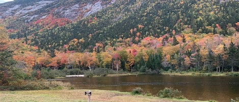 Un parque con un lago, una banca y un cartel que indica que la pesca está permitida.