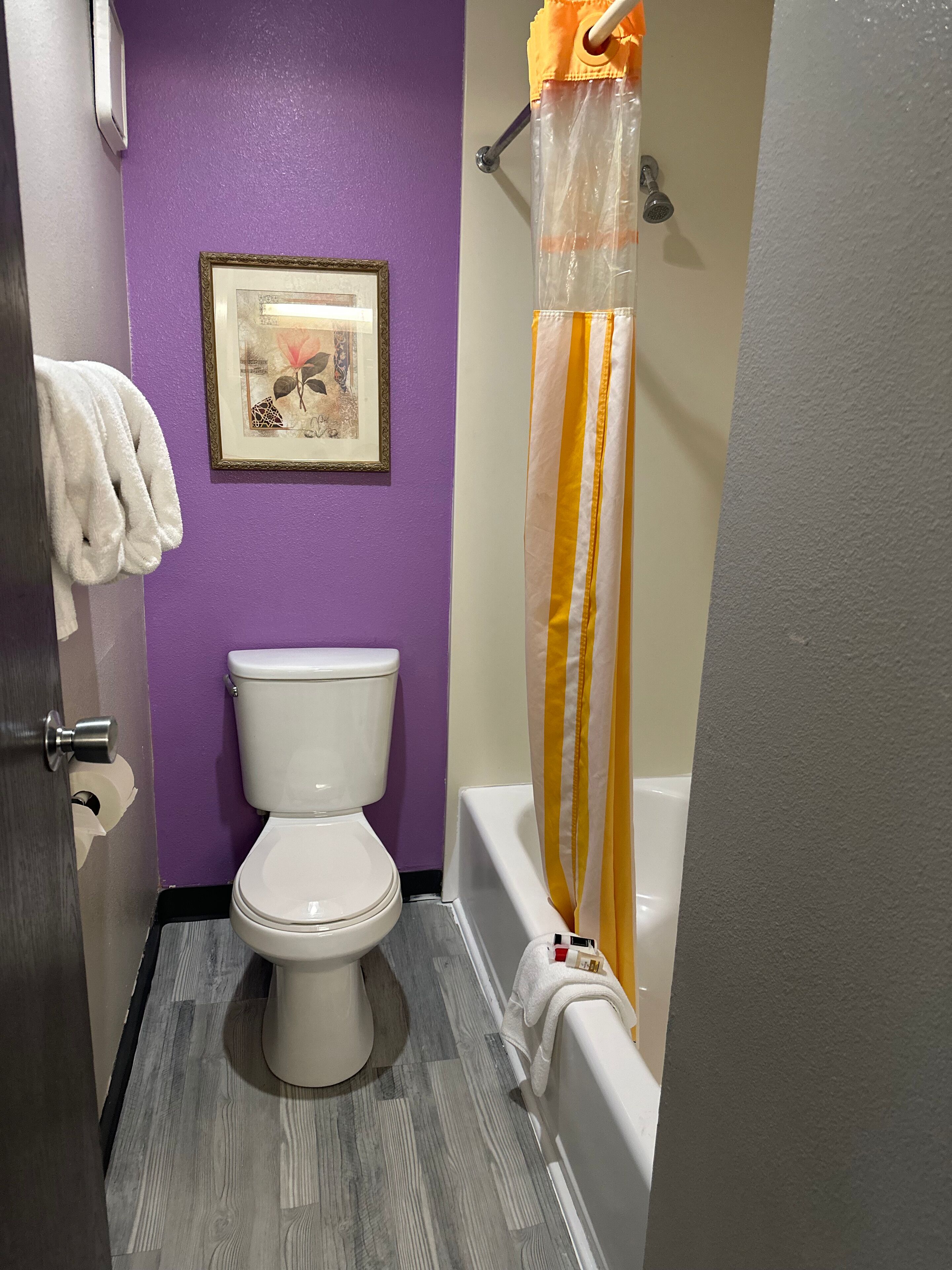 Combined shower/bathtub, free toiletries, hair dryer, towels