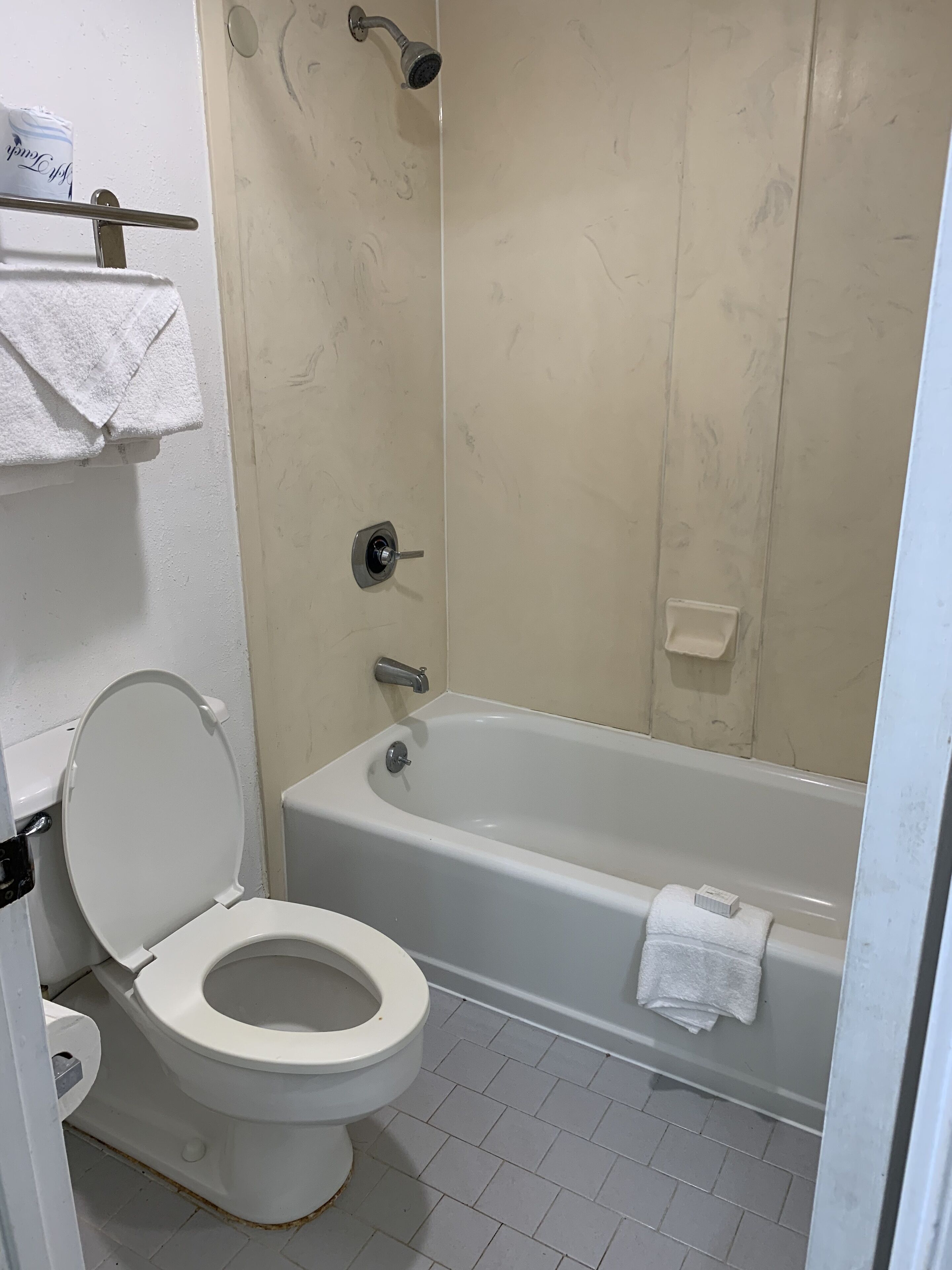 combined shower/bathtub, free toiletries, hair dryer, towels