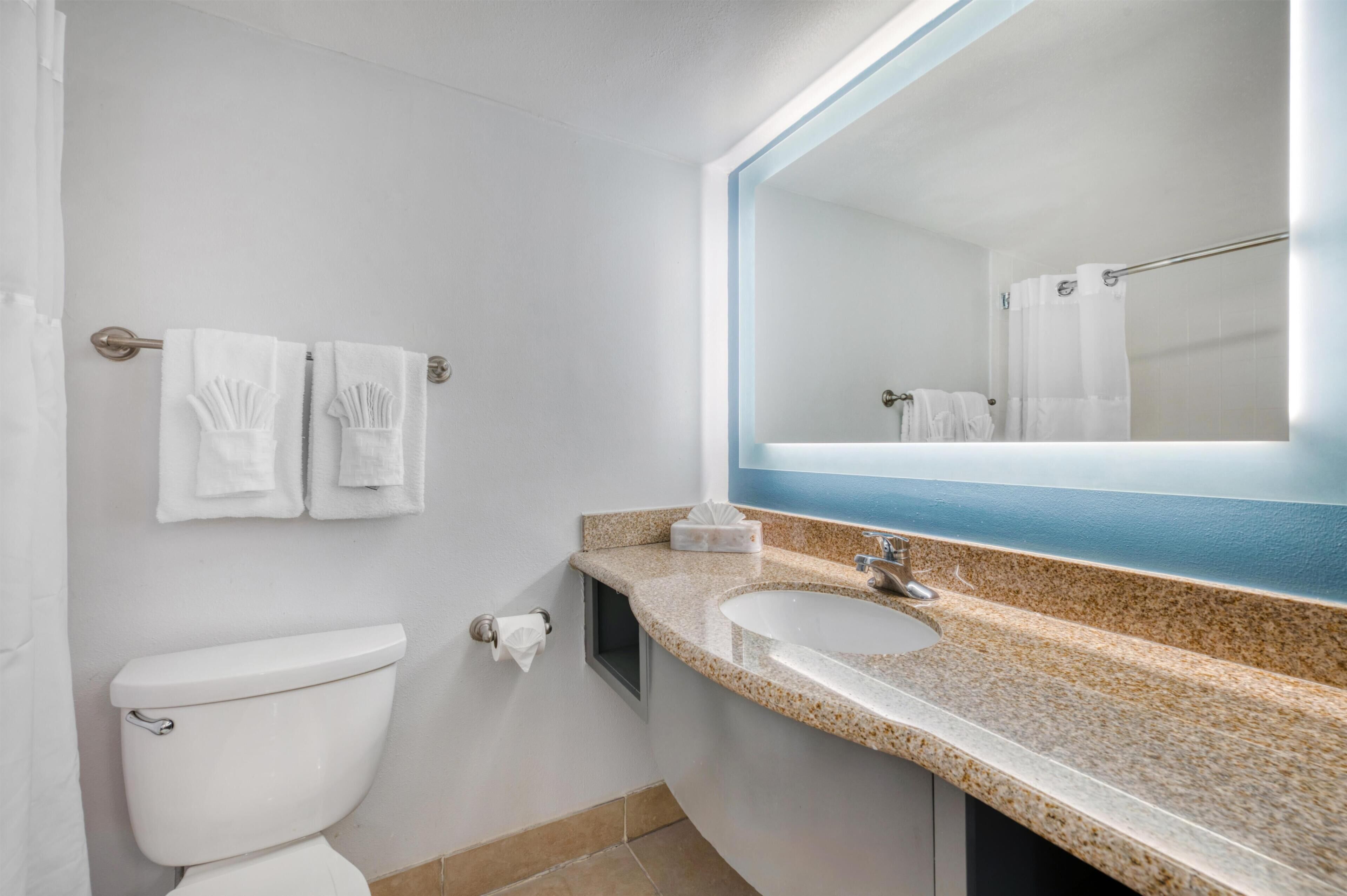 Un baño con inodoro, lavamanos y espejo.