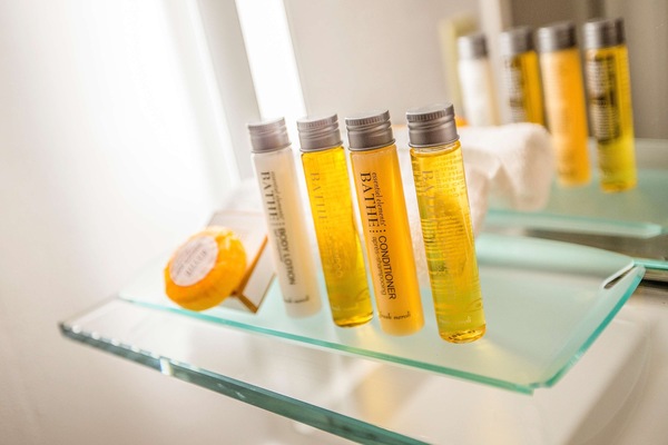 Combined shower/tub, free toiletries, hair dryer, towels