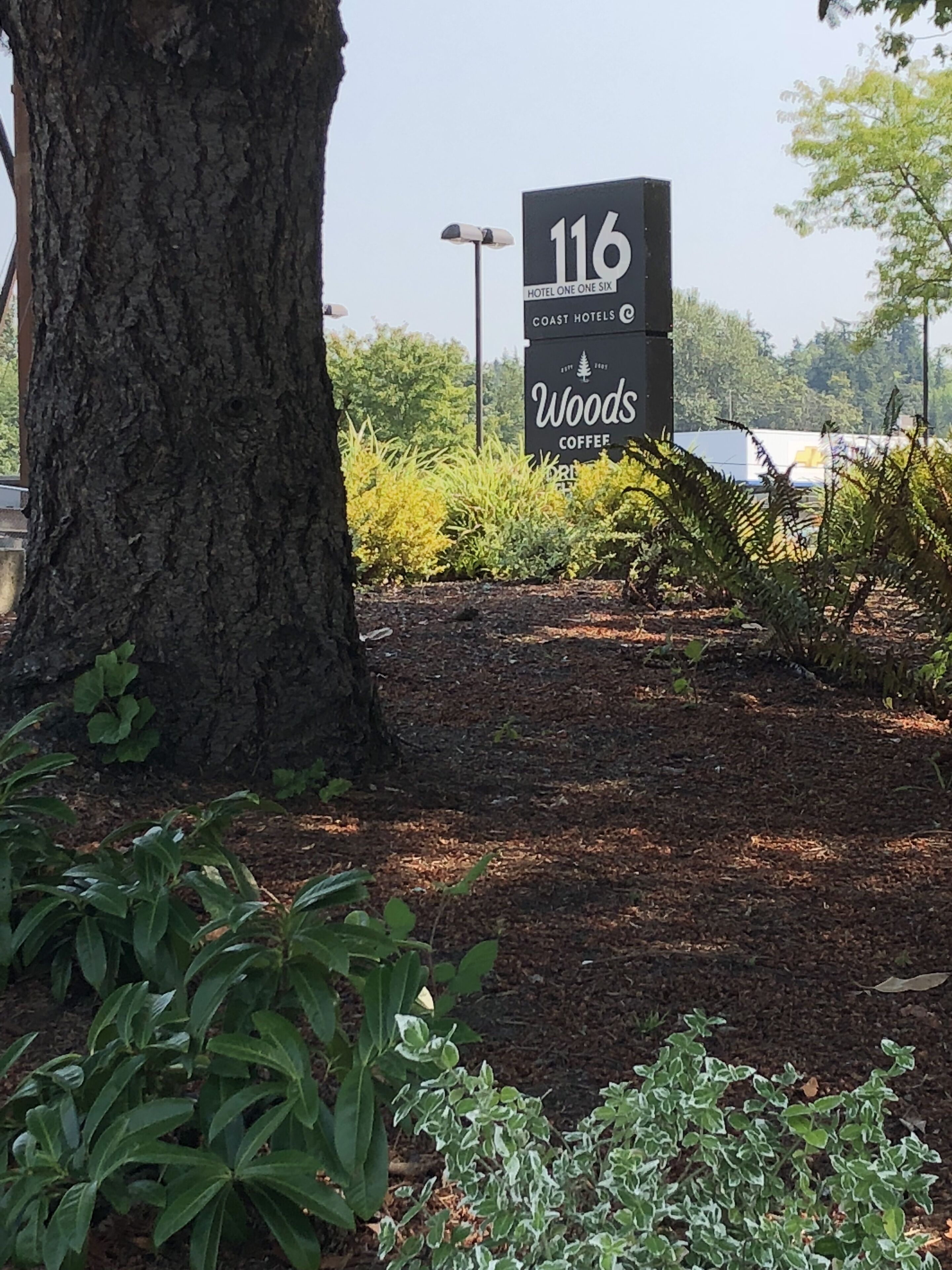 Foto - Hotel 116, A Coast Hotel Bellevue