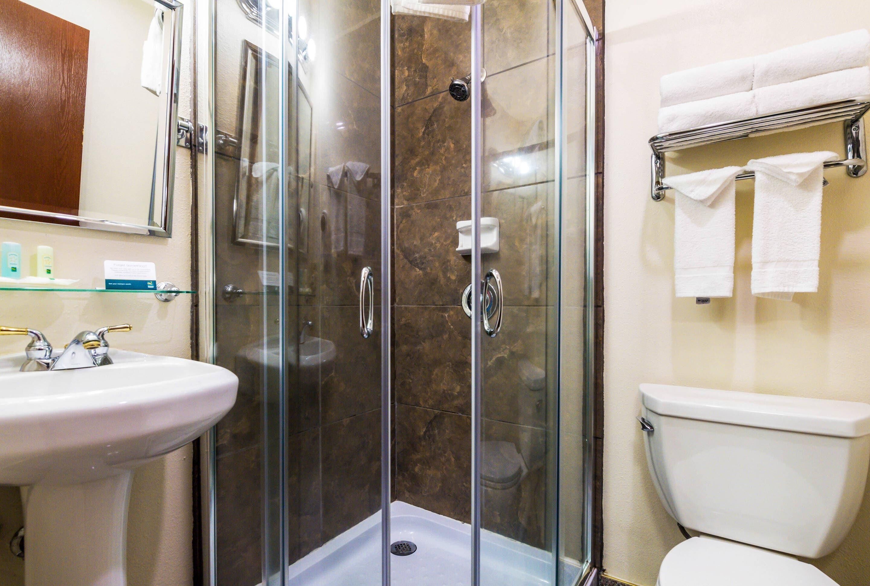 A bathroom with a glass-enclosed shower, a white sink, and a toilet.