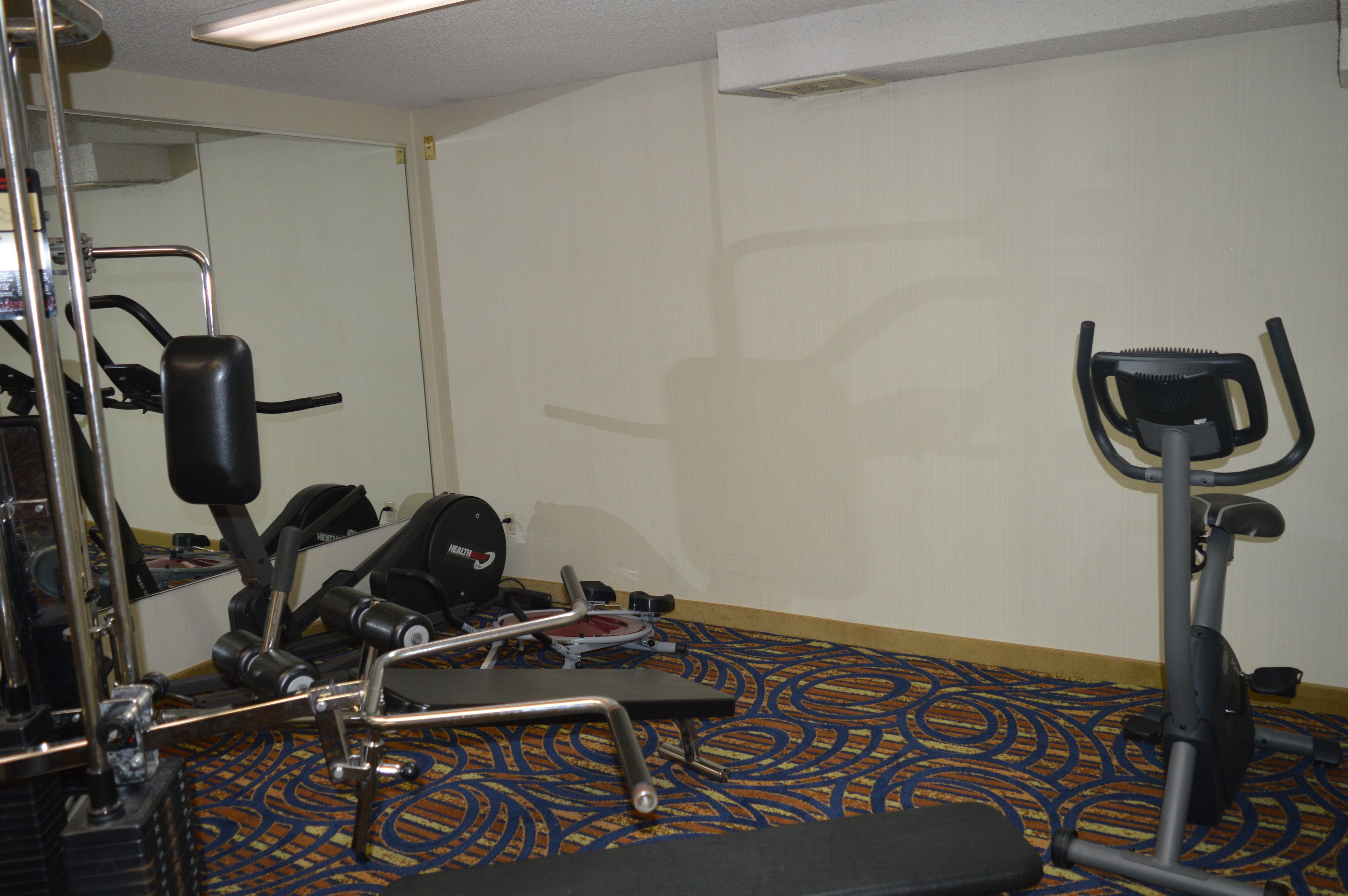 Une chambre d’hôtel dotée d’un espace de remise en forme comprenant des appareils d’exercice, un grand miroir et une moquette à motifs.