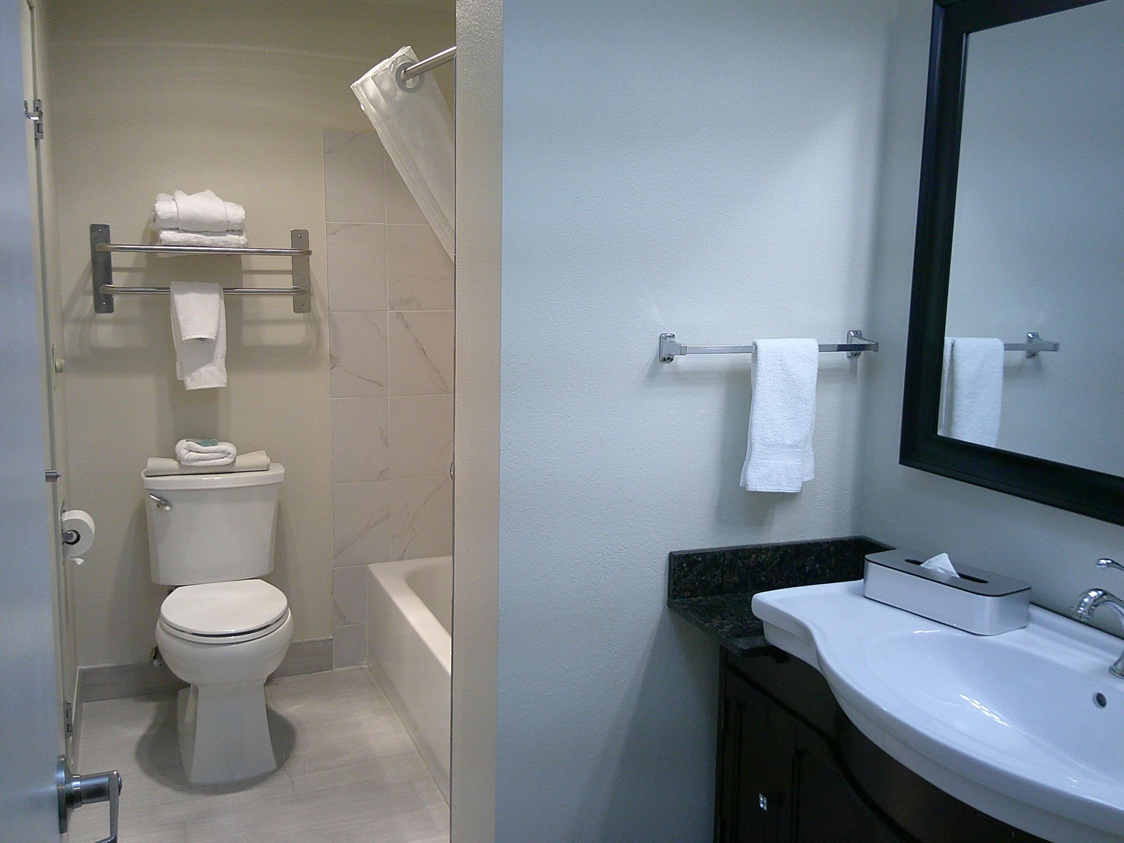 suite, 1 king bed, kitchen, ground floor (with sofabed) | bathroom | combined shower/bathtub, free toiletries, hair dryer, towels