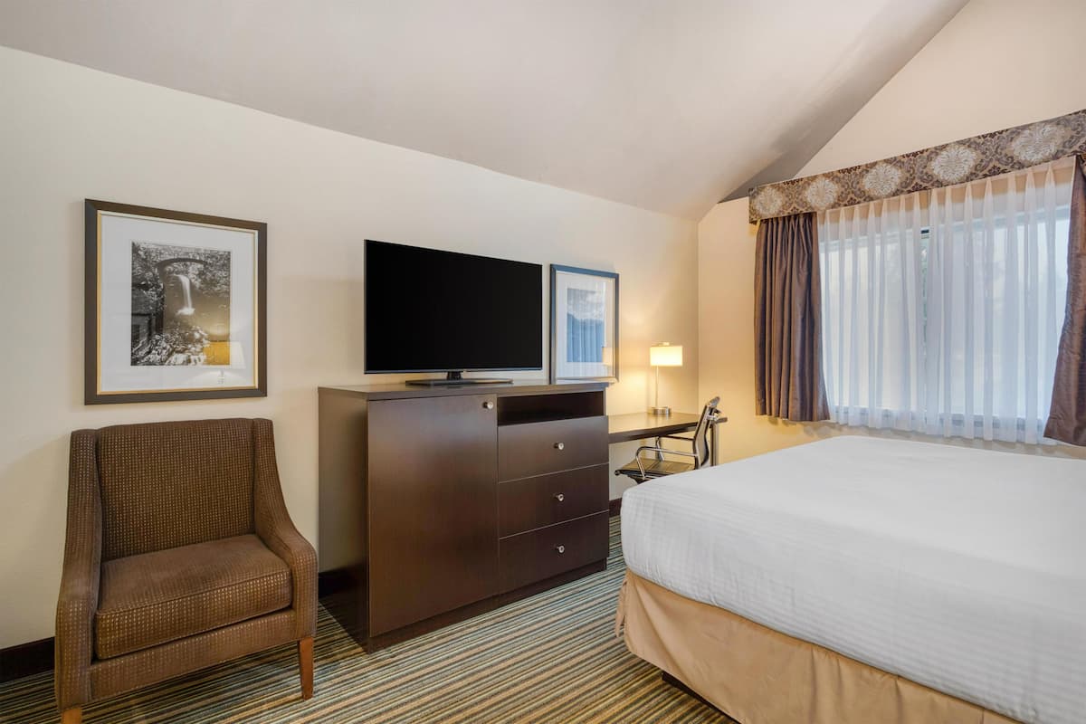 Standard Room, 1 King Bed, Non Smoking, Jetted Tub | In-room safe, desk, laptop workspace, iron/ironing board