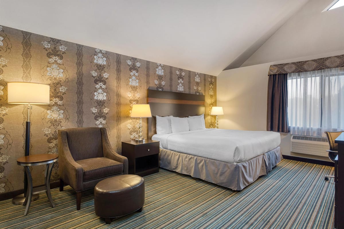 Standard Room, 1 King Bed, Non Smoking (Larger Room) | In-room safe, desk, laptop workspace, iron/ironing board