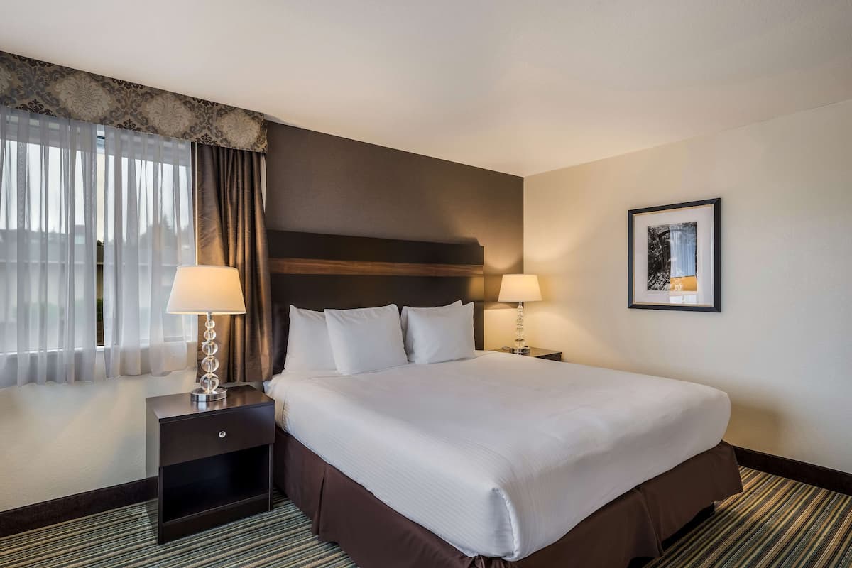 Suite, 1 King Bed, Non Smoking (Living Room;with Sofabed)