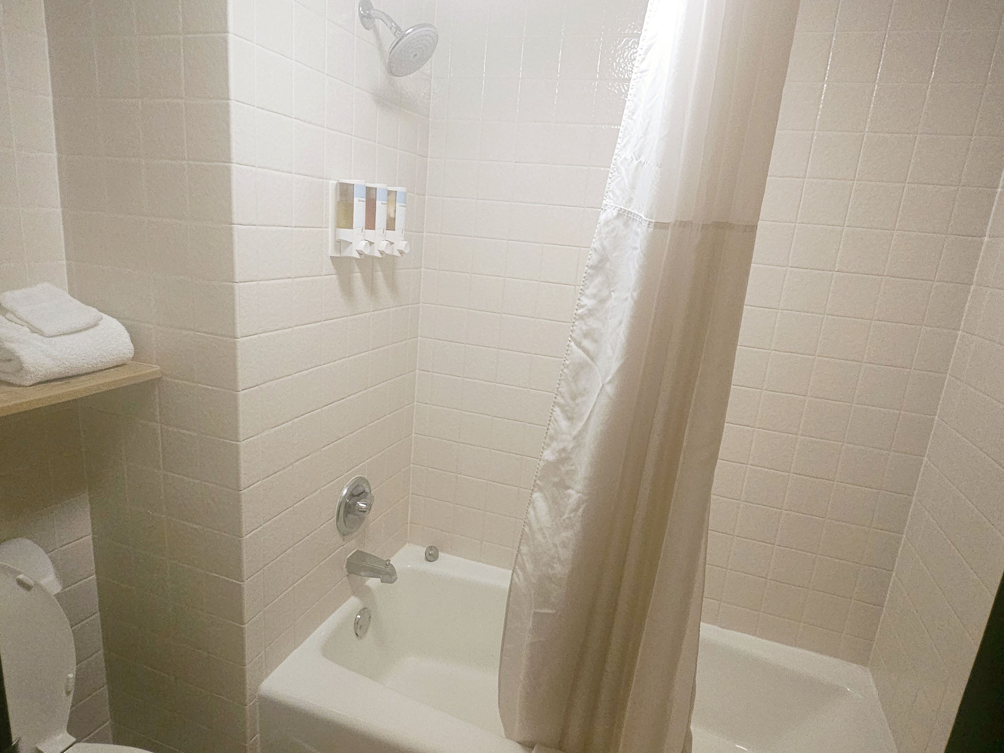 combined shower/bathtub, free toiletries, hair dryer, towels