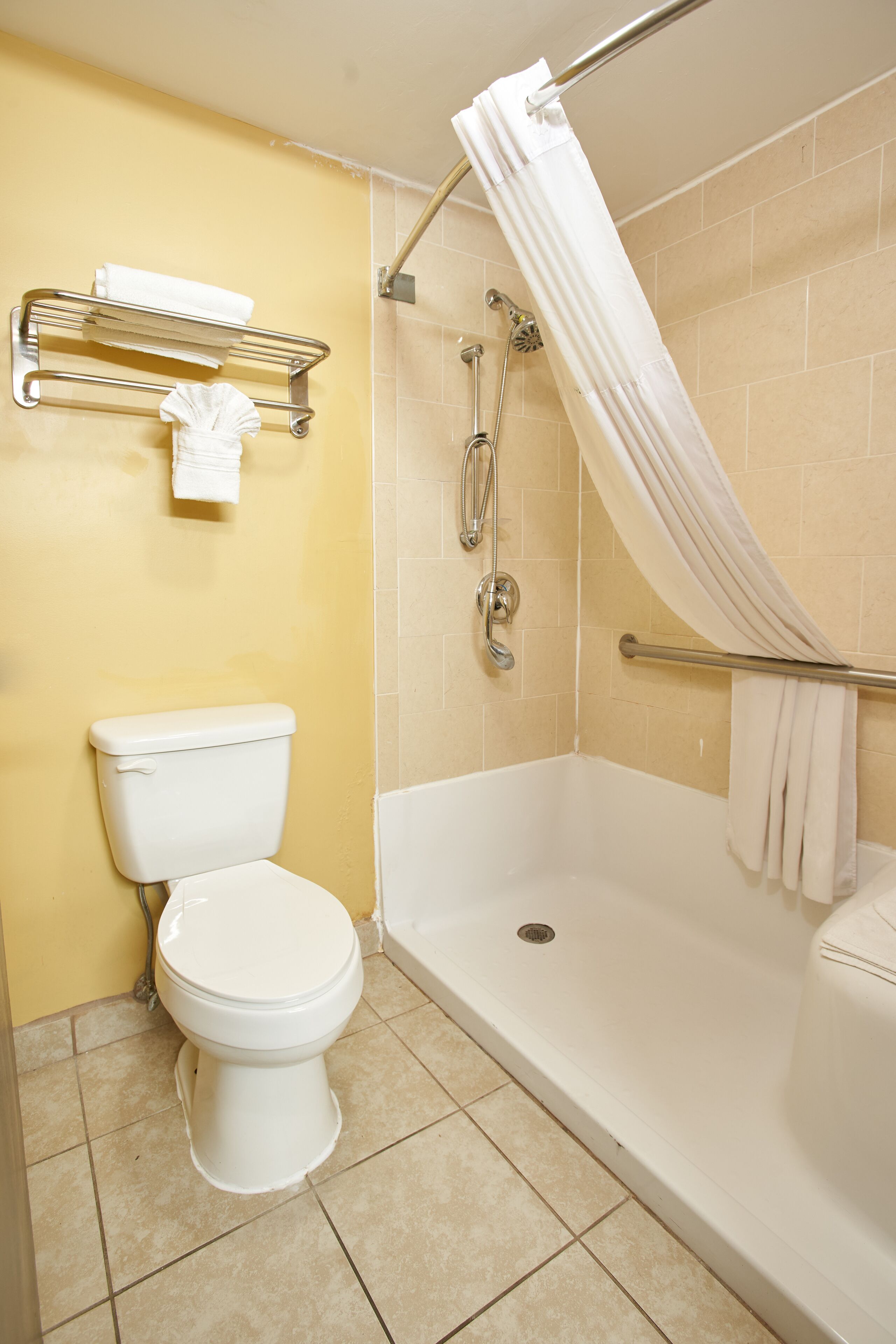 A bathroom with a toilet, a shower with a curtain, and a towel rack.