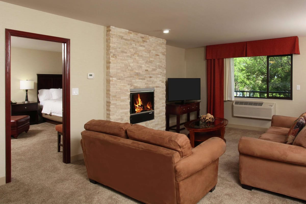 A living room with a fireplace, two sofas, a TV, and a large window with a view of trees.