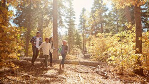 A forested area with a dirt path. - Holiday Inn Express & Suites Birmingham South - Pelham by IHG (Pelham)