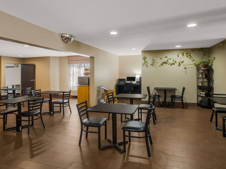 A dining area with multiple tables and chairs, a kitchen area with appliances, and a wall-mounted plant.