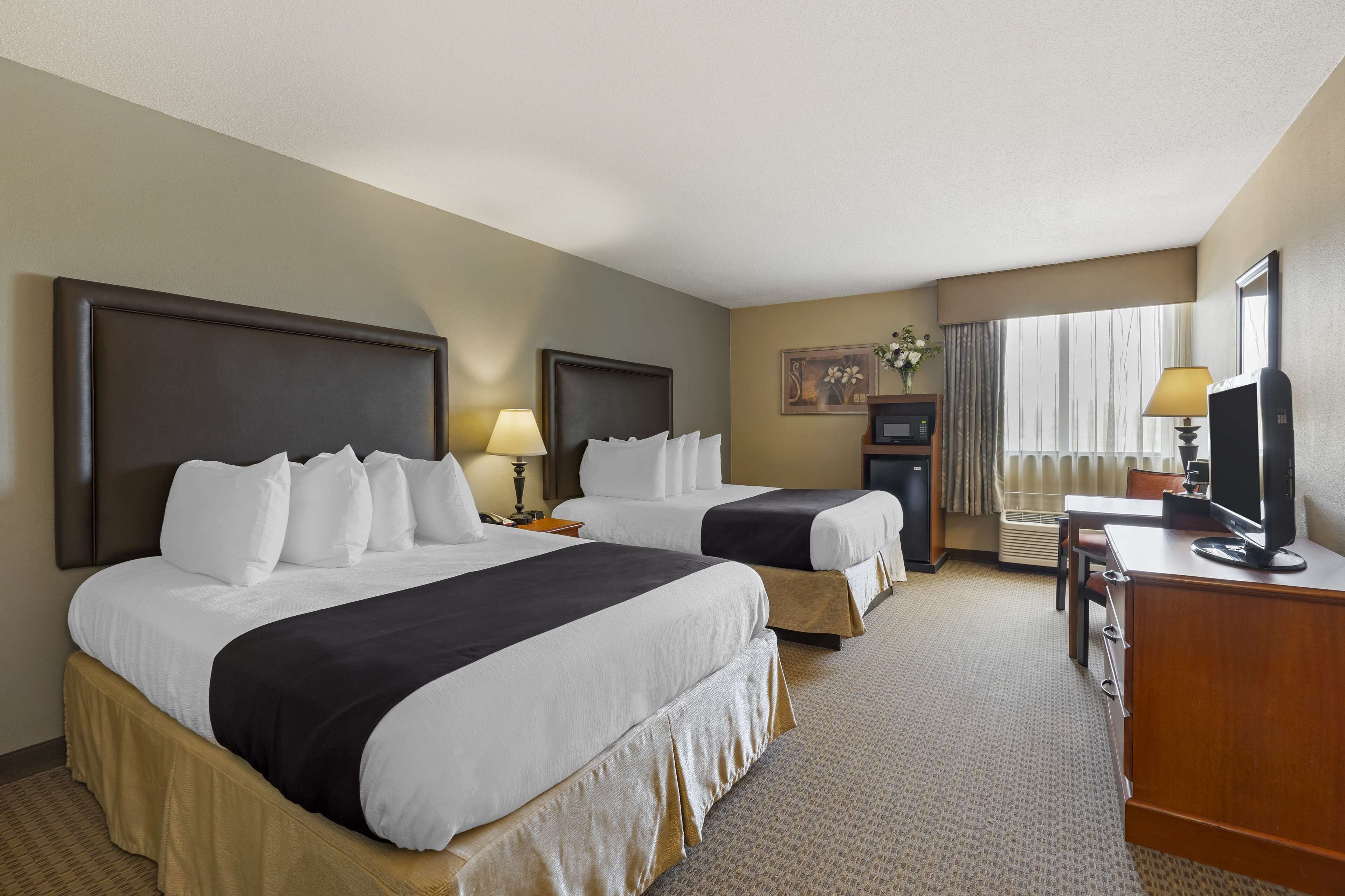 A hotel room with two beds, a desk with a TV, a lamp, and a small table with a plant.