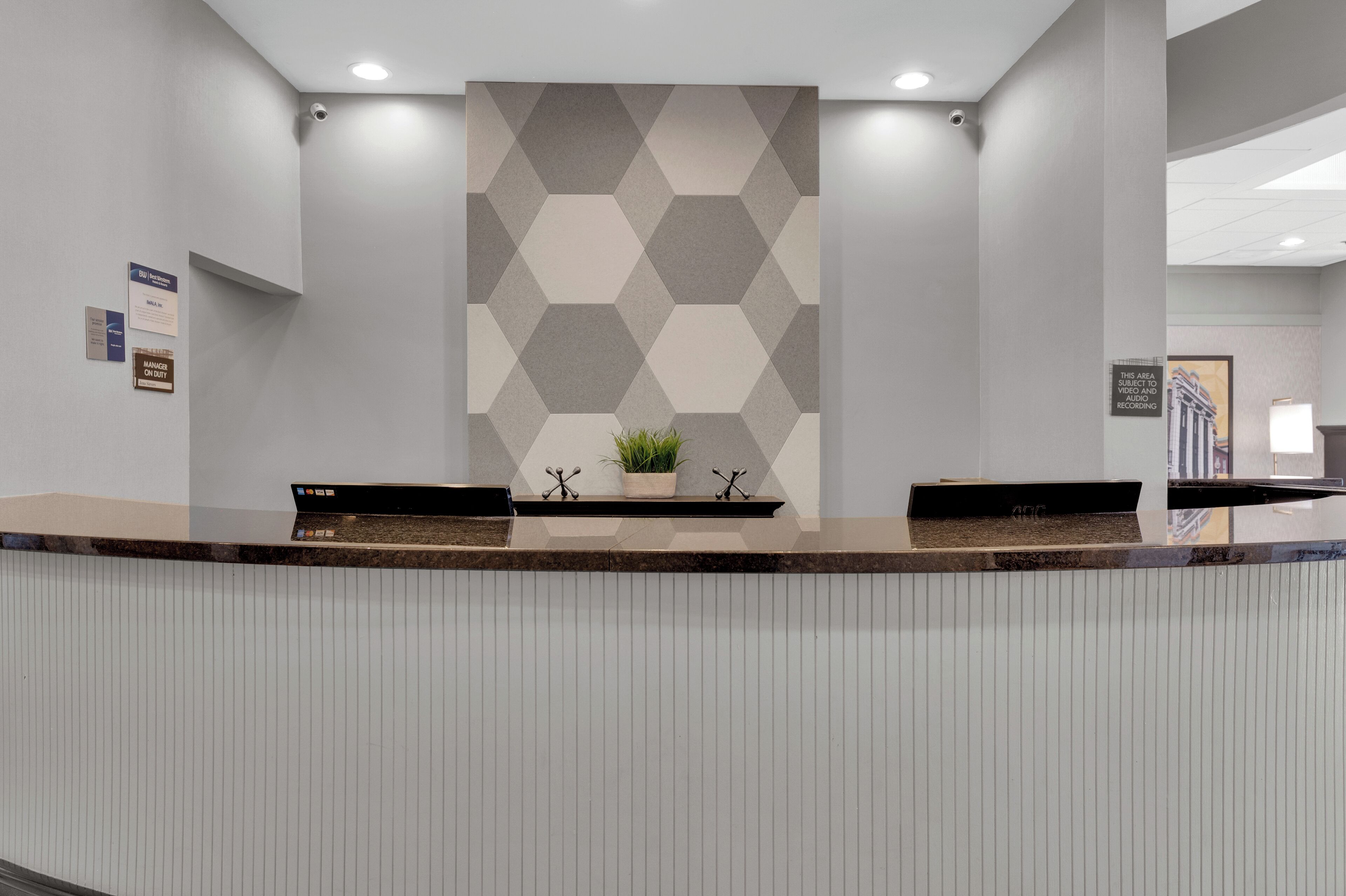 A reception desk with a geometric patterned wall, a potted plant, and a security camera.