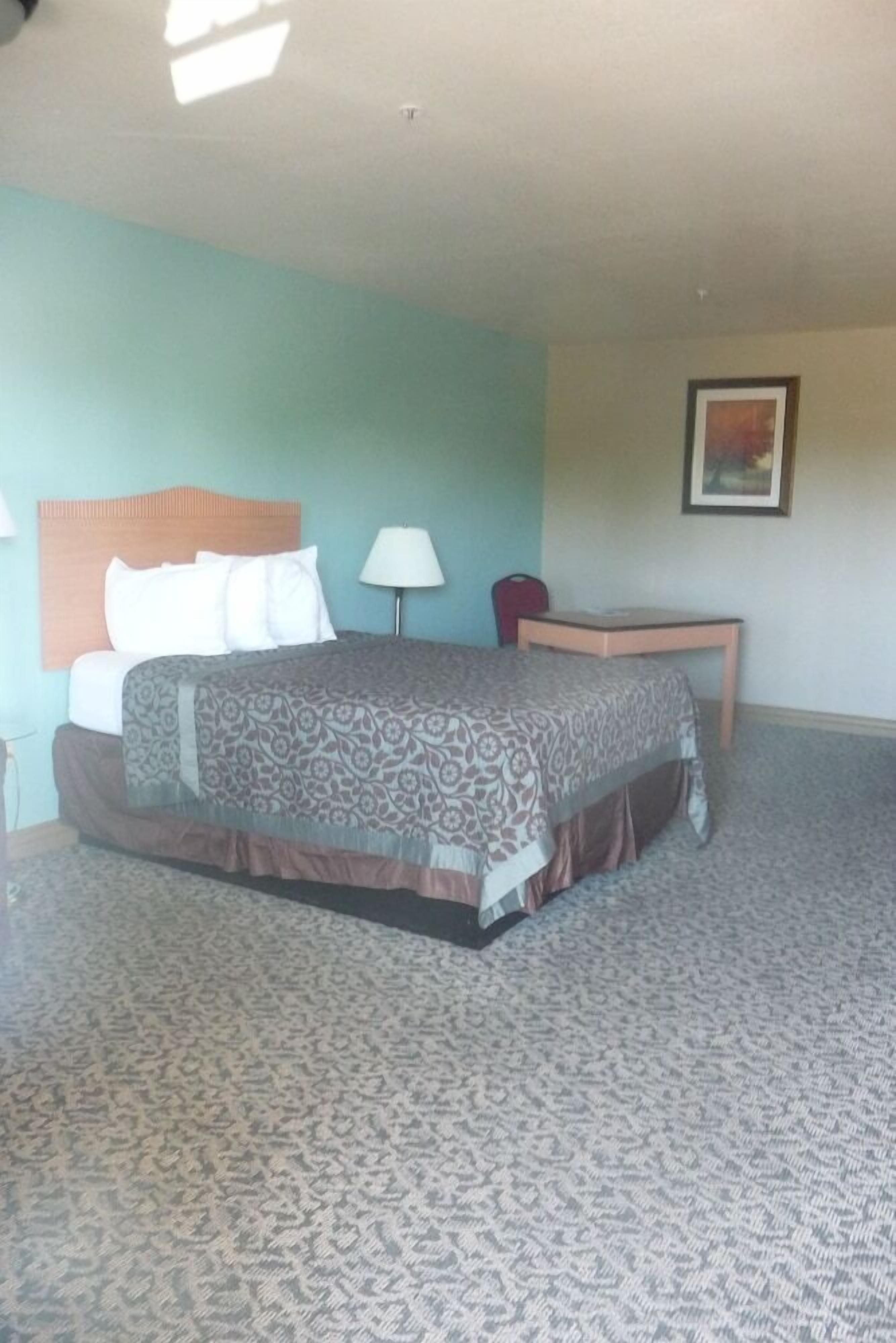 Una habitación de hotel con cama, escritorio, silla, lámpara y un cuadro en la pared.