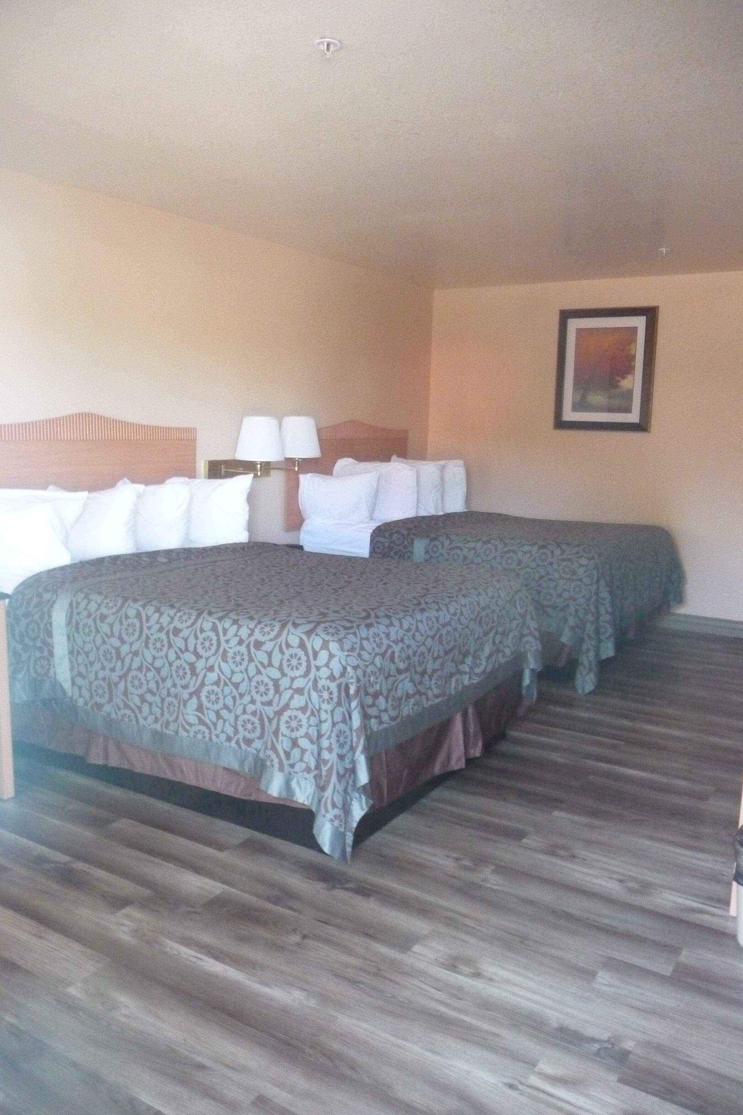 standard room, 2 queen beds | 1 bedroom, desk, iron/ironing board, free wifi