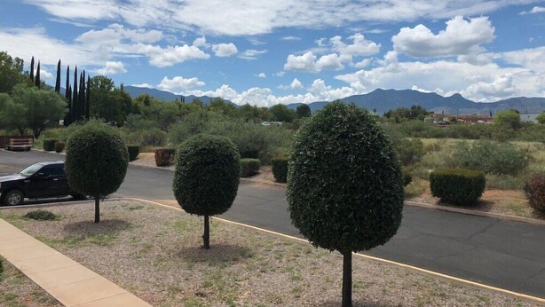 A parking lot with neatly trimmed trees and a clear view of mountains in the background.